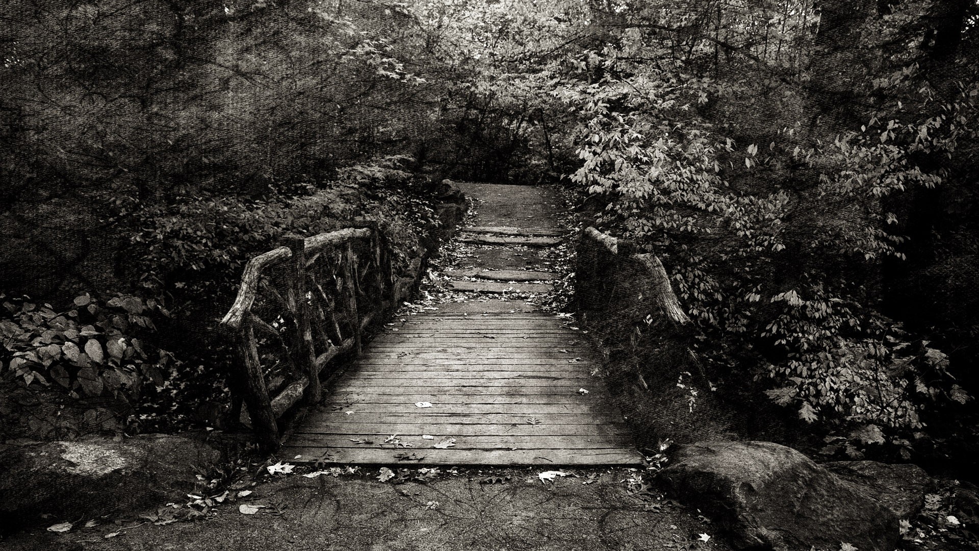 Эффект холста на черно белом фото