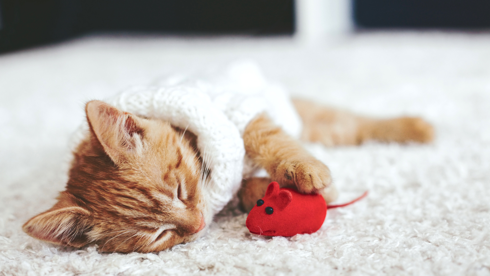 Маленький рыжий котенок спит с игрушечной мышкой