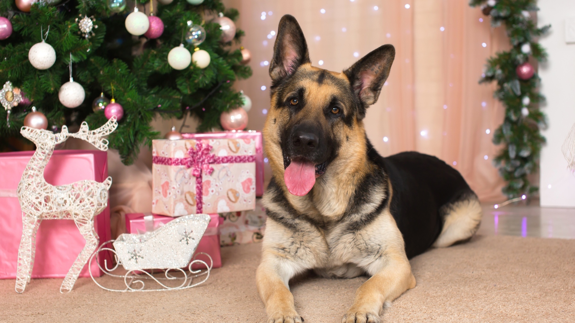 Немецкая овчарка с высунутым языком под елкой, С Новым 2018 годом собаки 