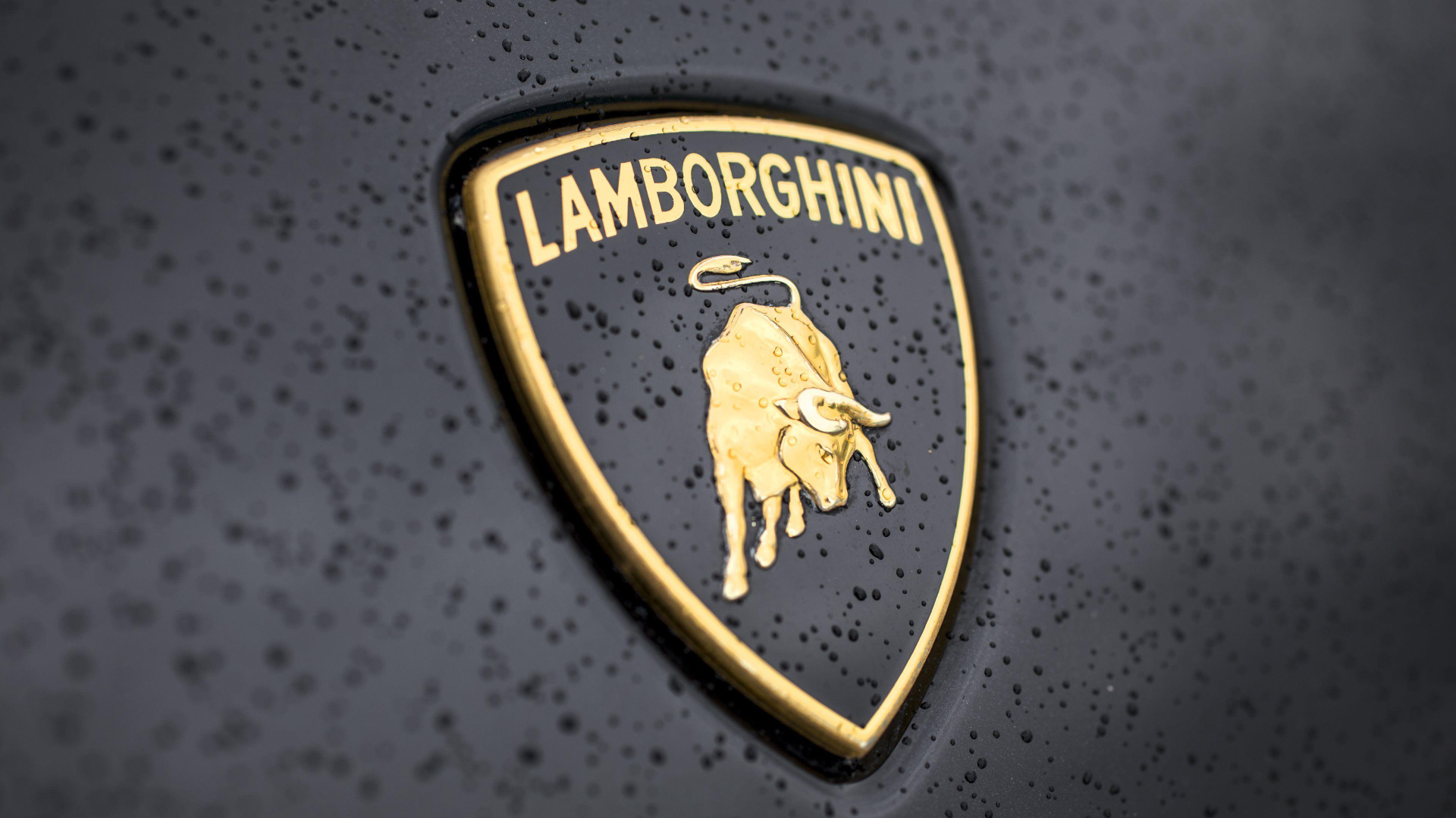 Логотип Lamborghini в каплях дождя крупным планом