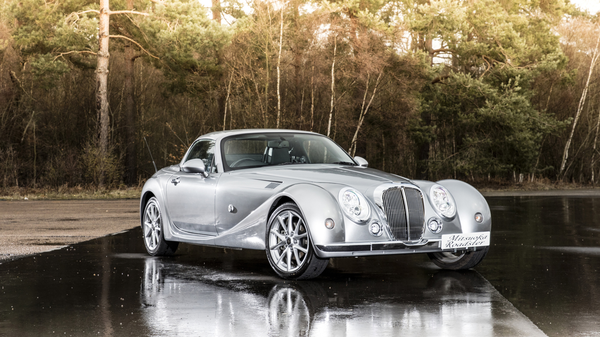 Серебристый автомобиль  Mitsuoka Roadster