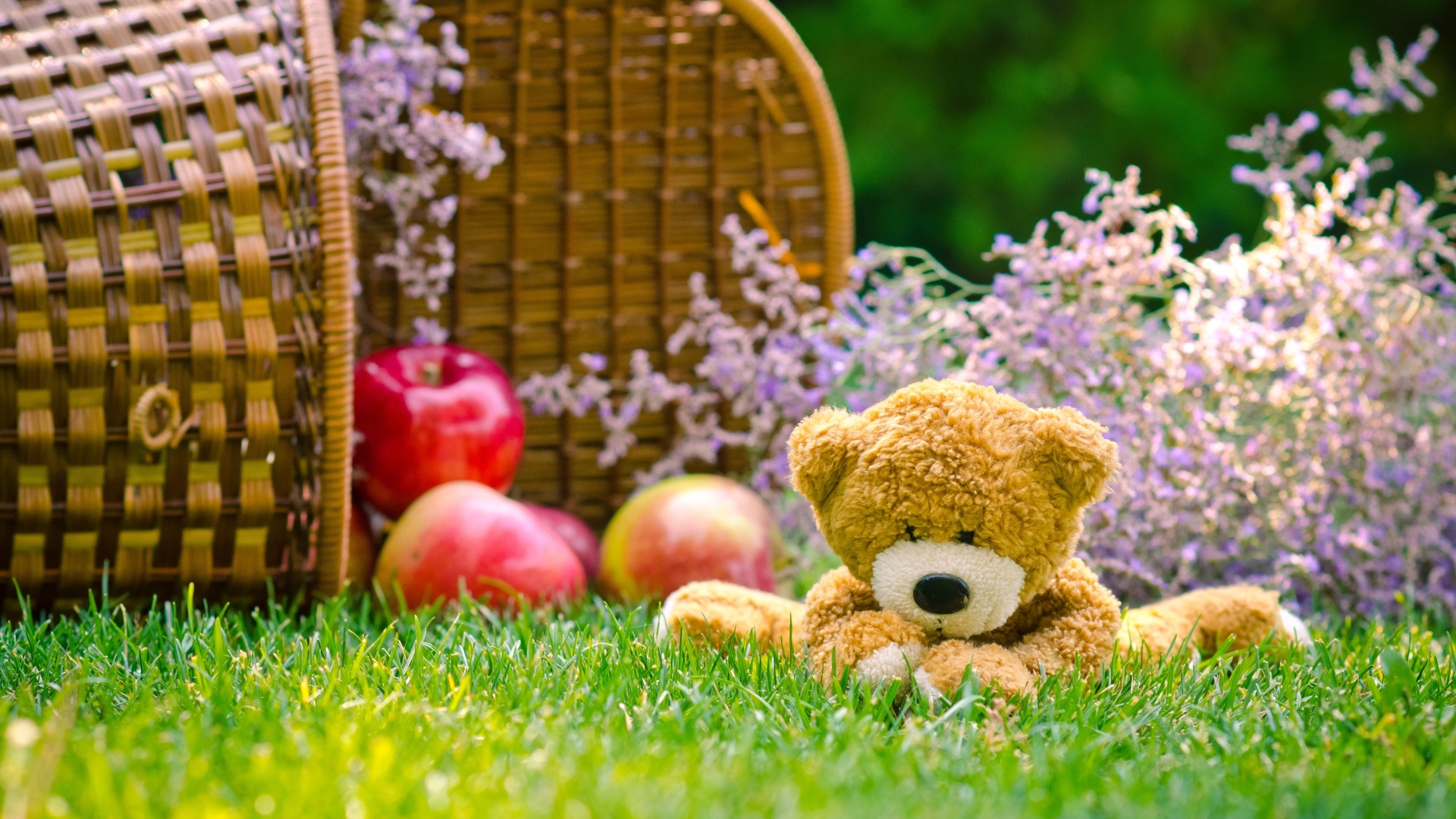 Мягкая игрушка медвежонок Тедди сидит на зеленой траве с корзиной яблок