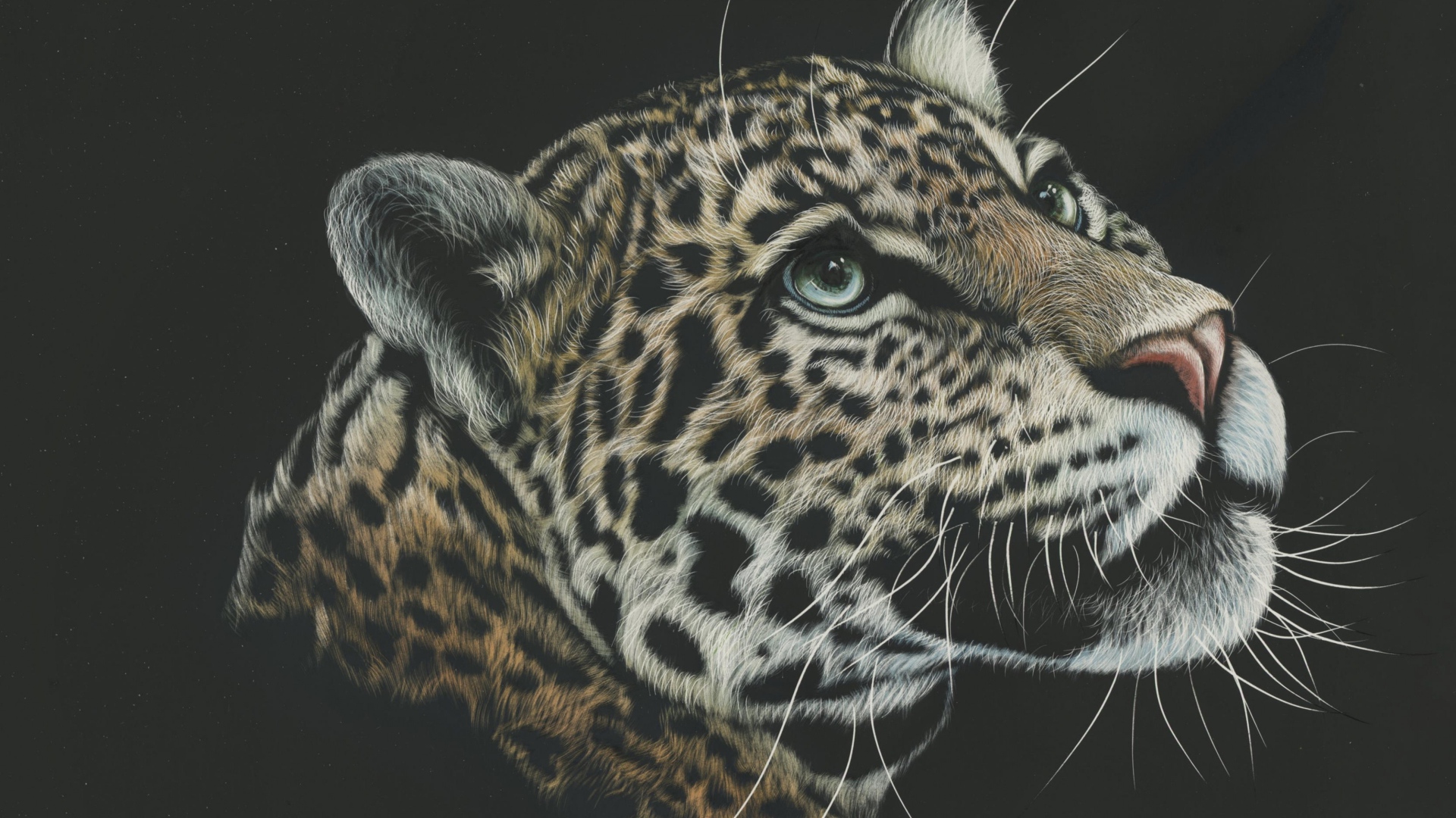 Нарисованная морда леопарда