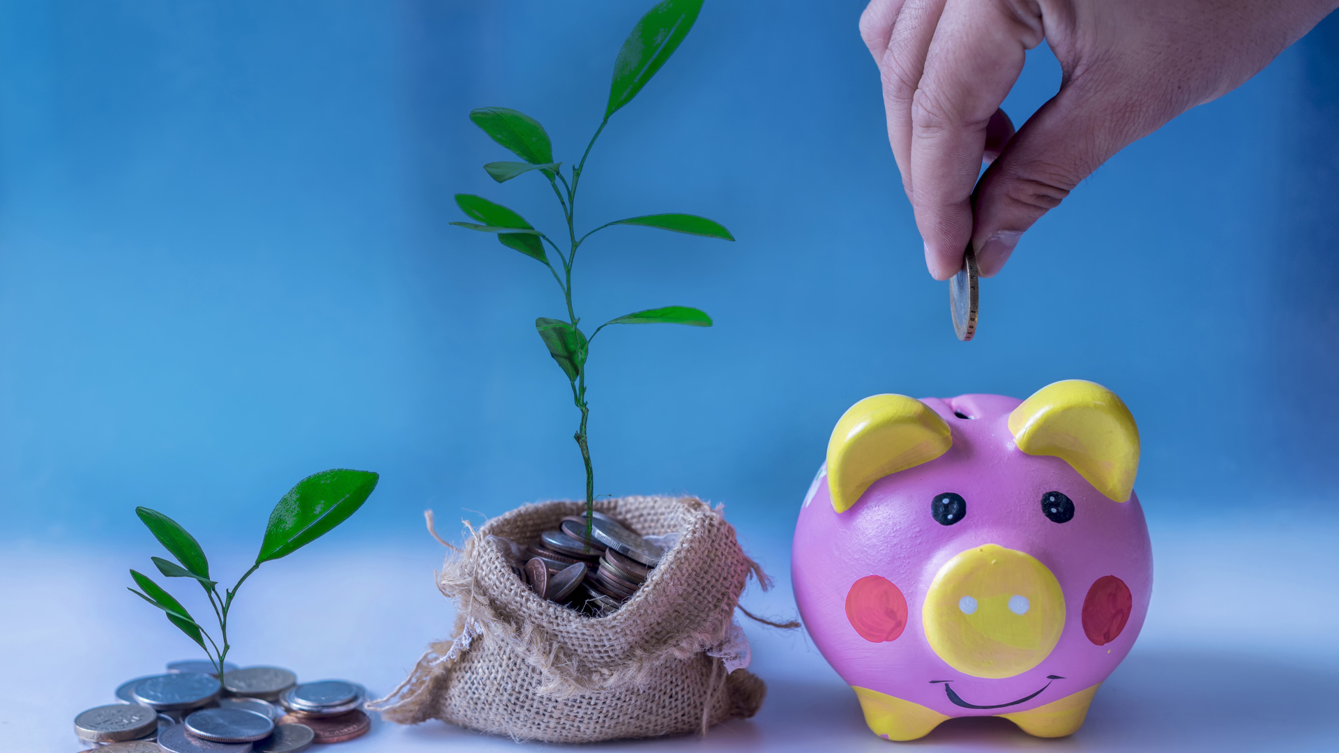 Свинья копилка и мешочек монет с денежным деревом на голубом фоне