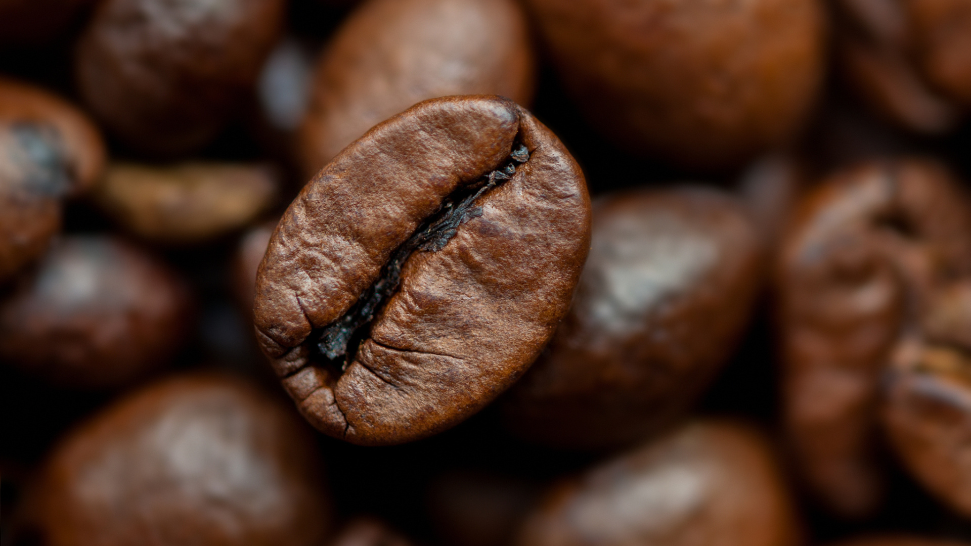 Кофейное зерно крупным планом