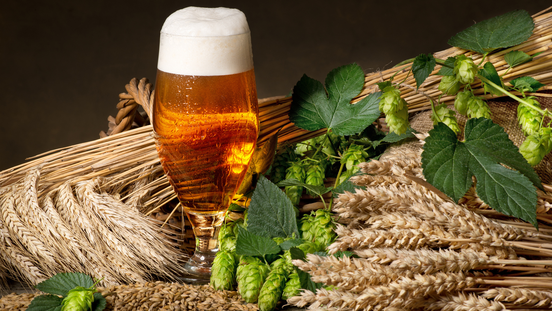 Бокал пива с хмелем и колосьями пшеницы 