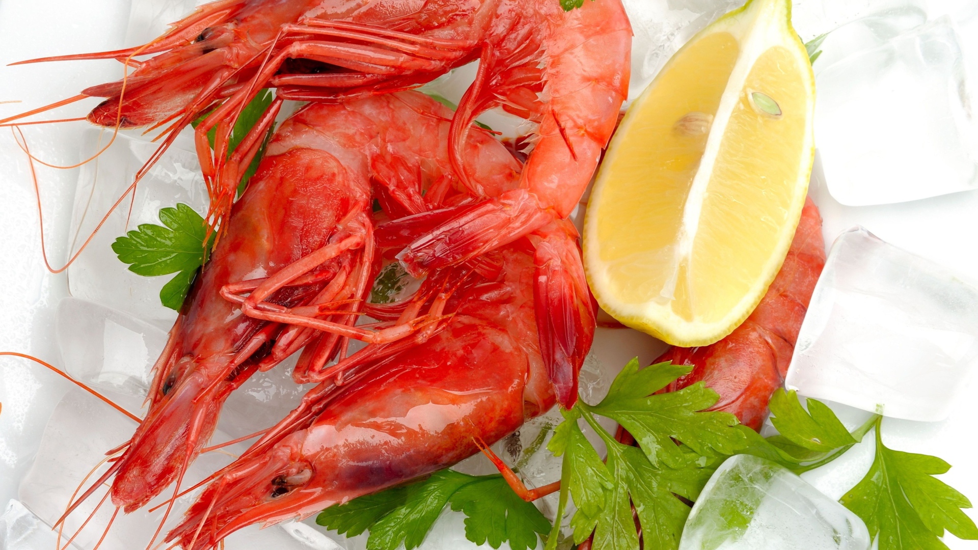 Вареные креветки с лимоном и кусочками льда