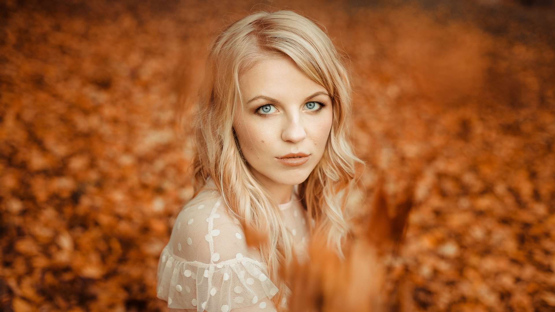 Голубоглазая девушка блондинка на фоне желтой листвы