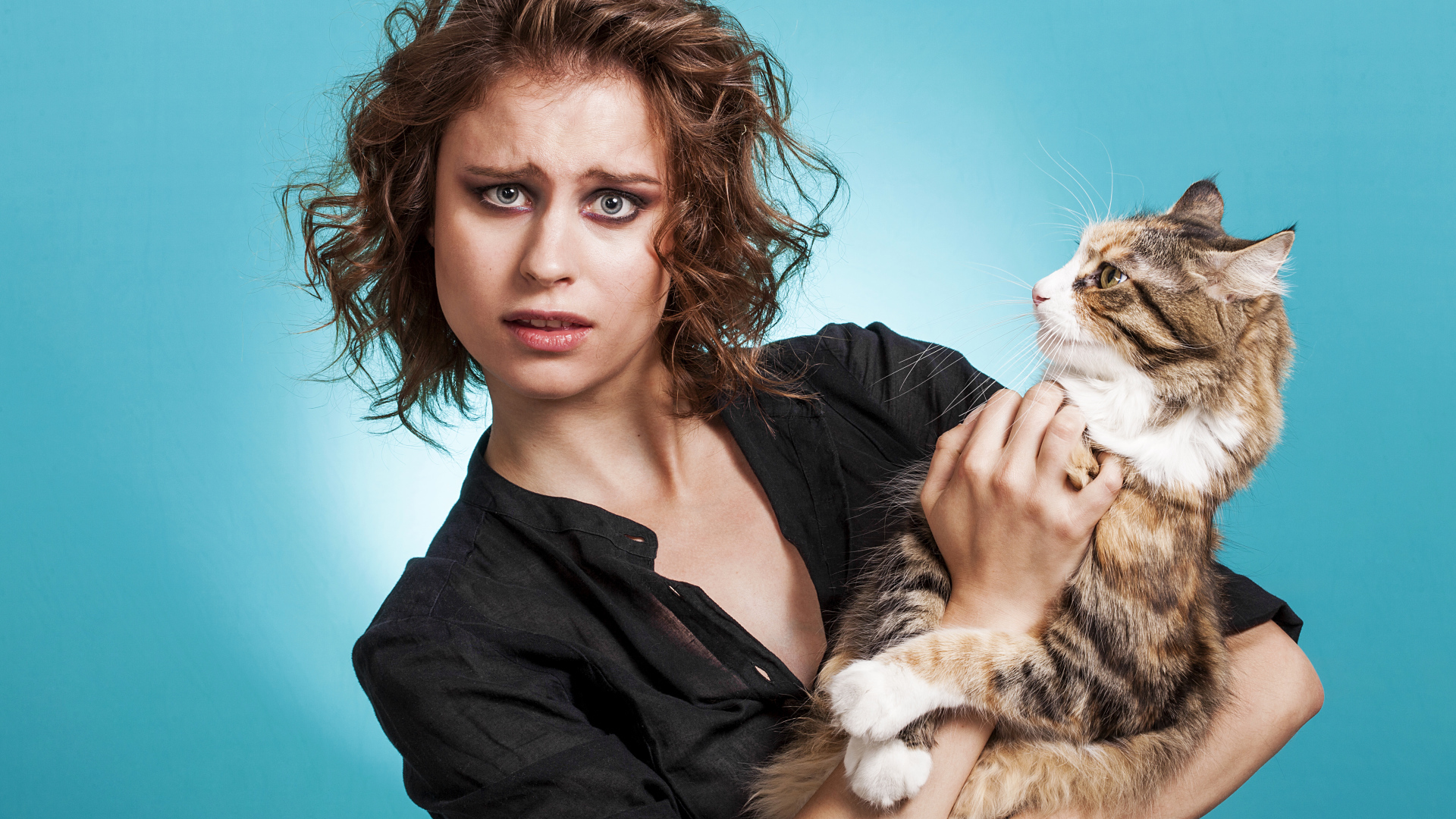 Молодая девушка шатенка с большим котом  на голубом фоне