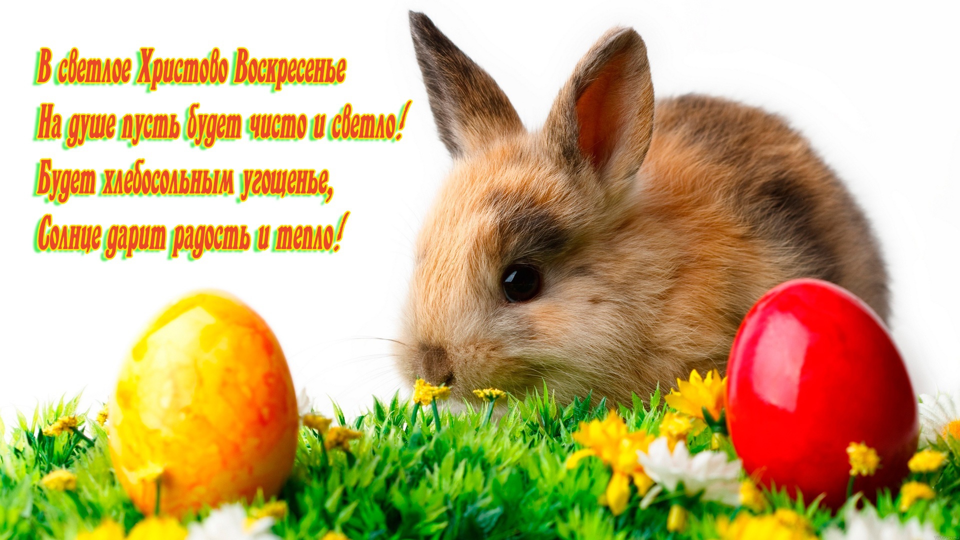 Поздравление со Светлым Христовым Воскресением 