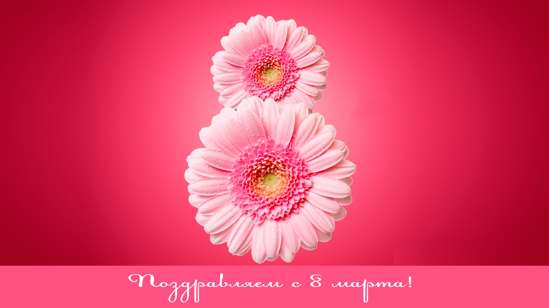 Восьмерка из гербер на 8 Марта