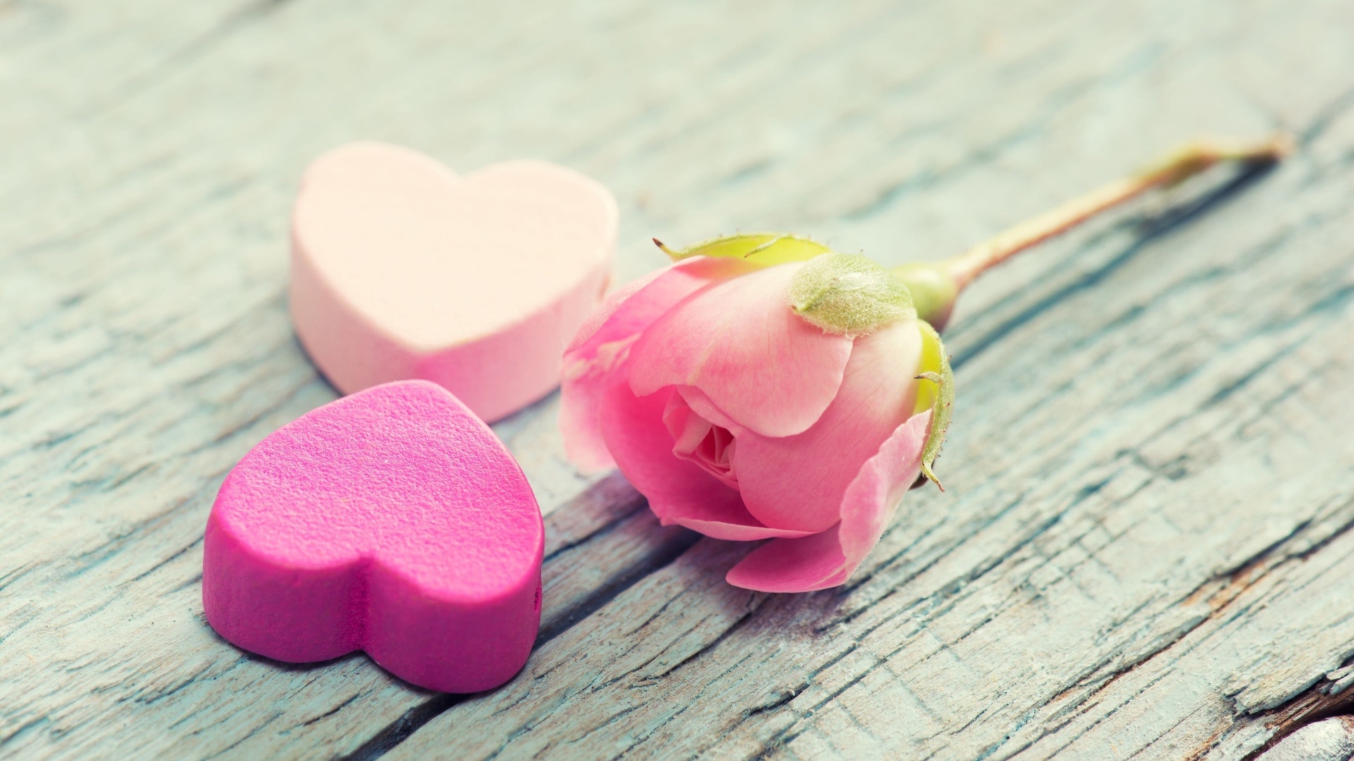 Два розовых сердца и розовая роза лежат на деревянной поверхности