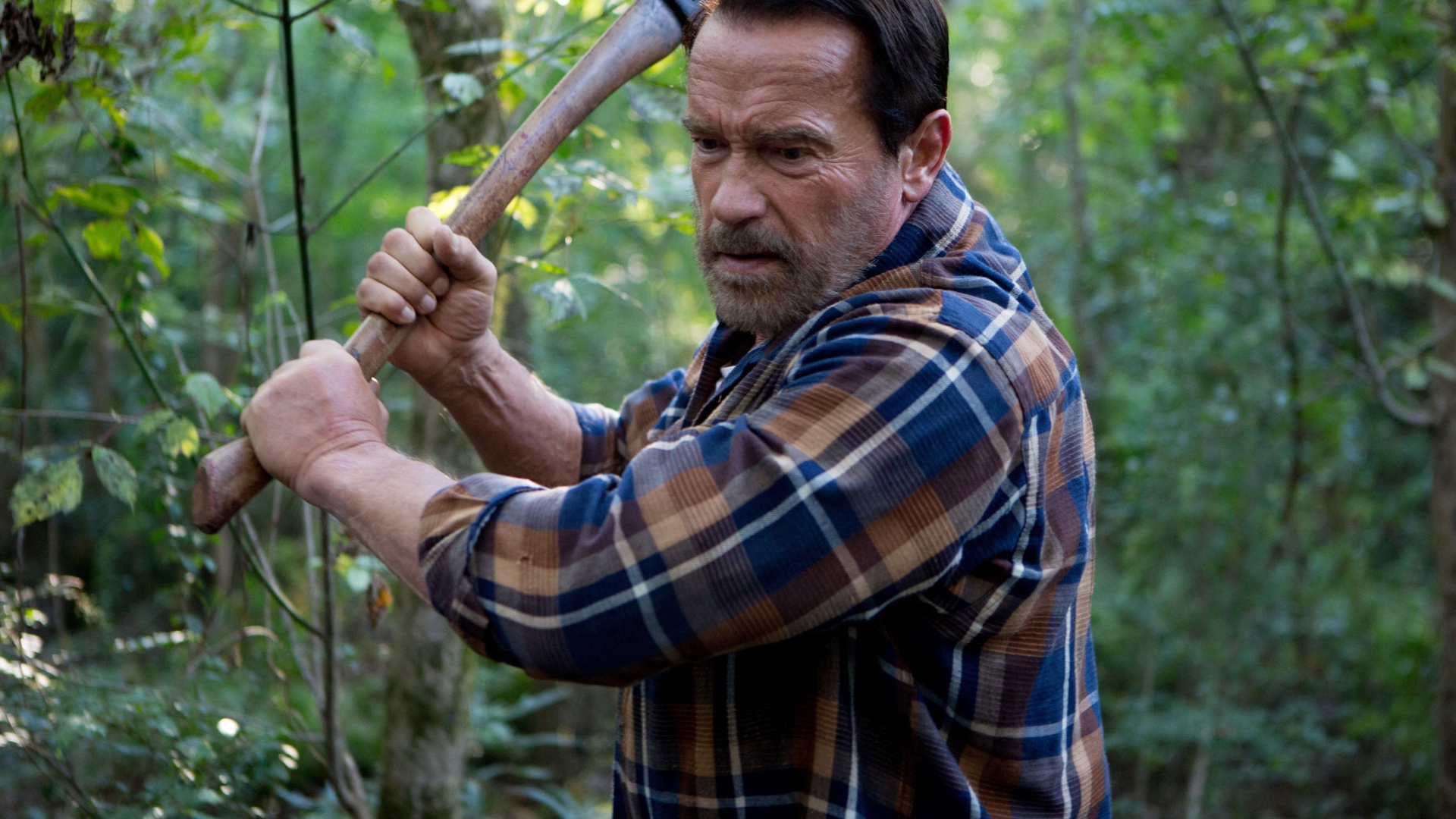 Актер Арнольд Шварценеггер в фильме Последствия, 2017 