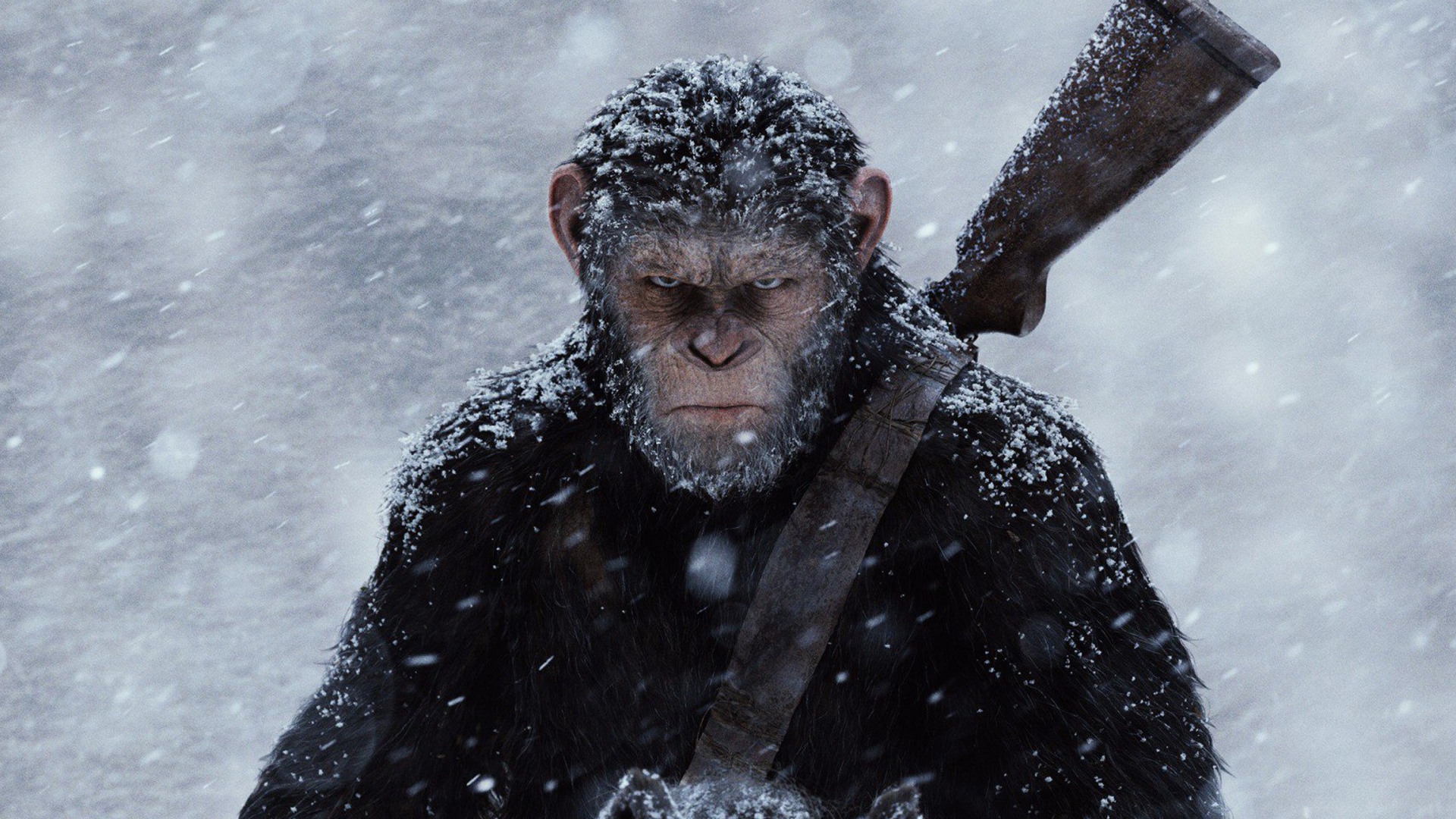 Цезарь персонаж фильма Планета обезьян Война 2017 