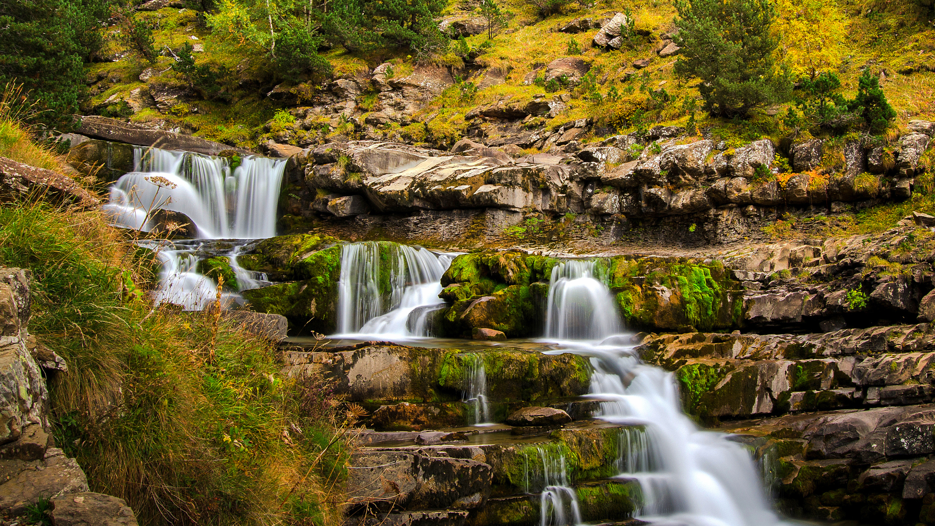 Быстрый ручей стекает по скале в осеннем лесу