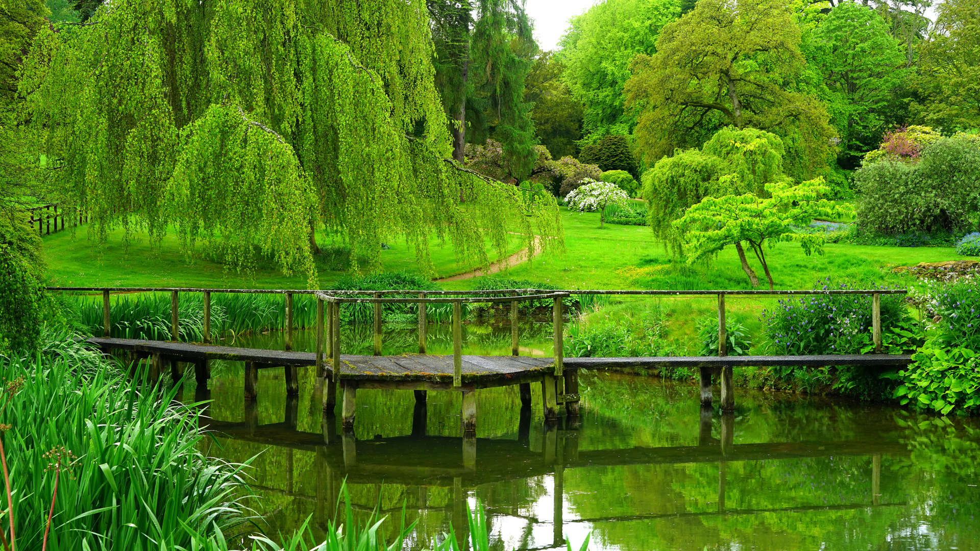 Зеленые деревья над старым мостом у пруда в парке