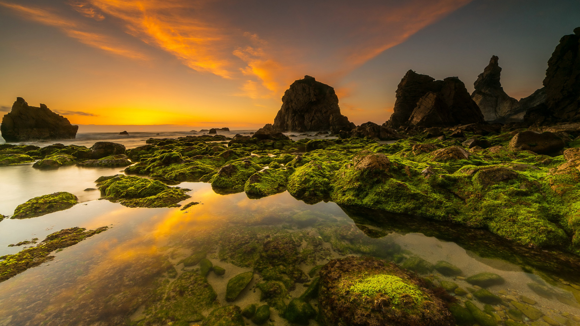 Покрытые мхом камни на морском берегу под красивым небом