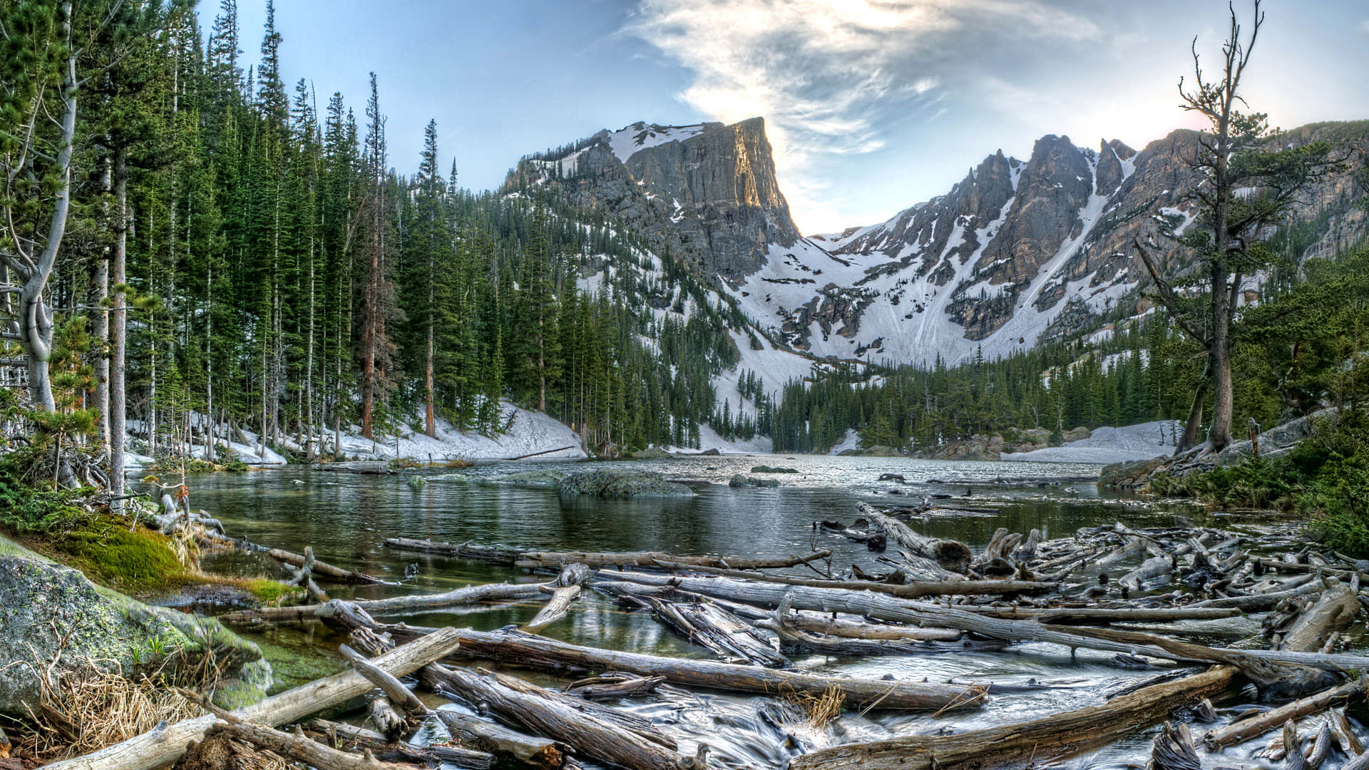 Старые бревна в воде на фоне заснеженных гор