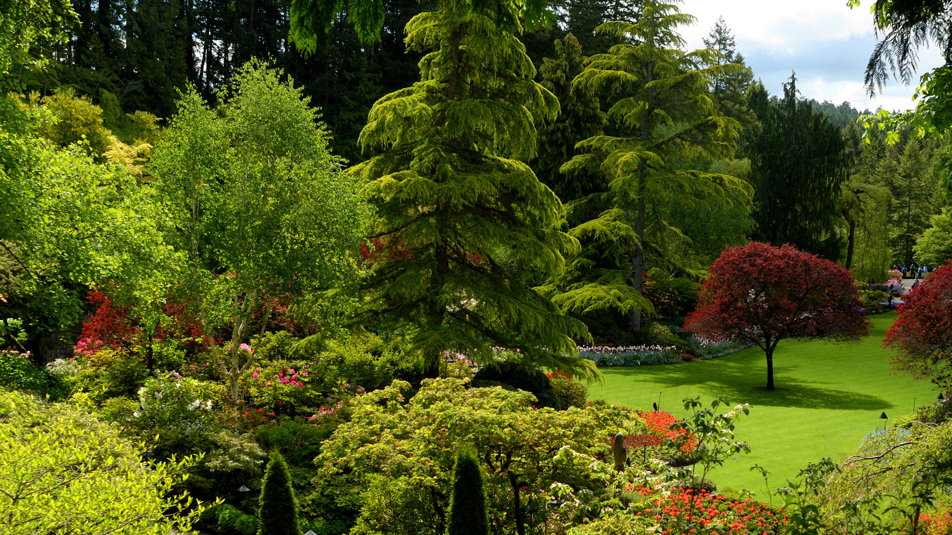 Живописный зеленый парк Канады