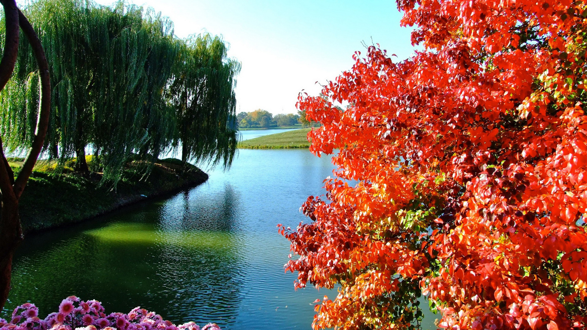 Деревья и цветы у озера в парке 