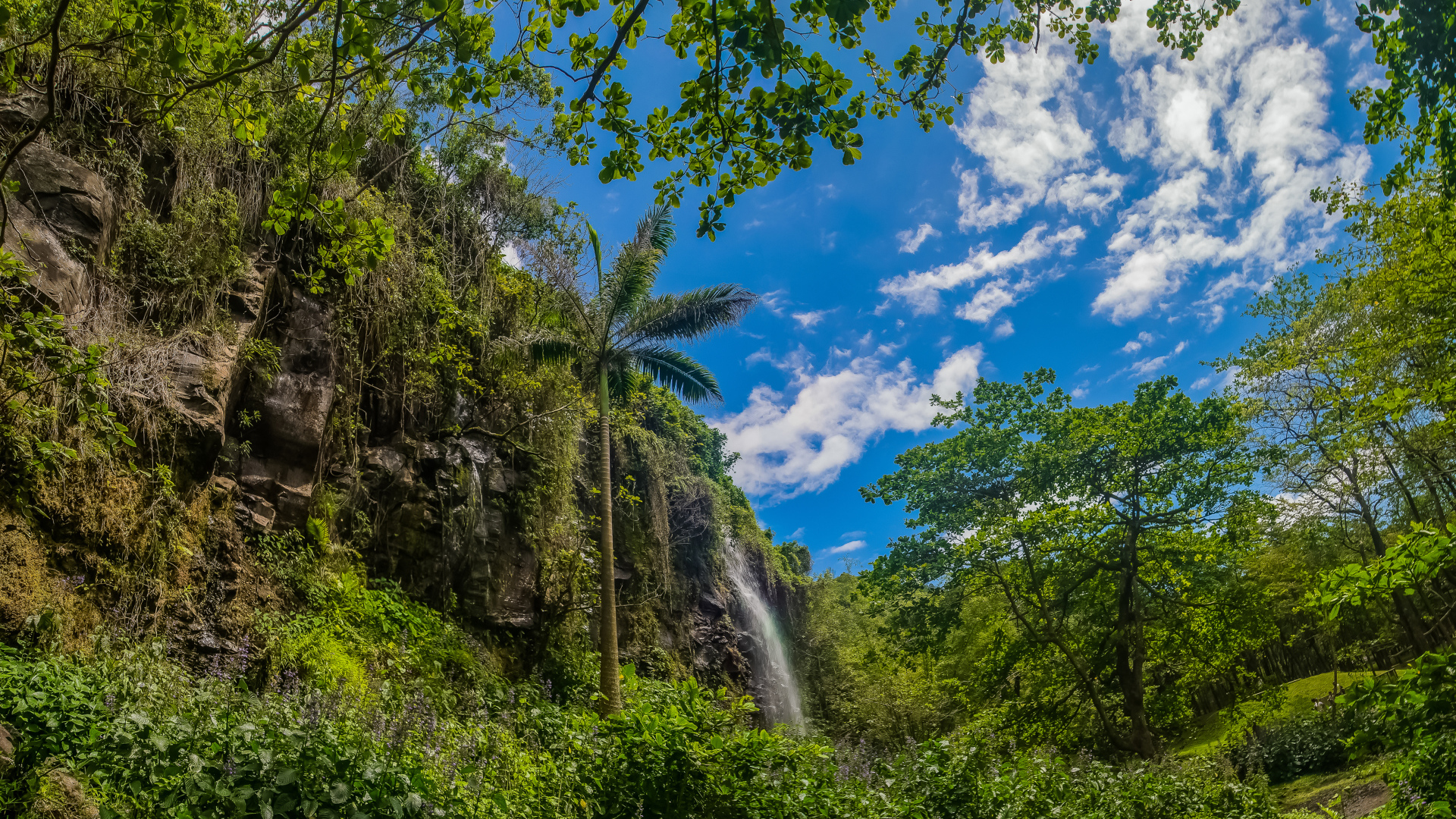 Водопад в тропическом лесу на фоне голубого неба 