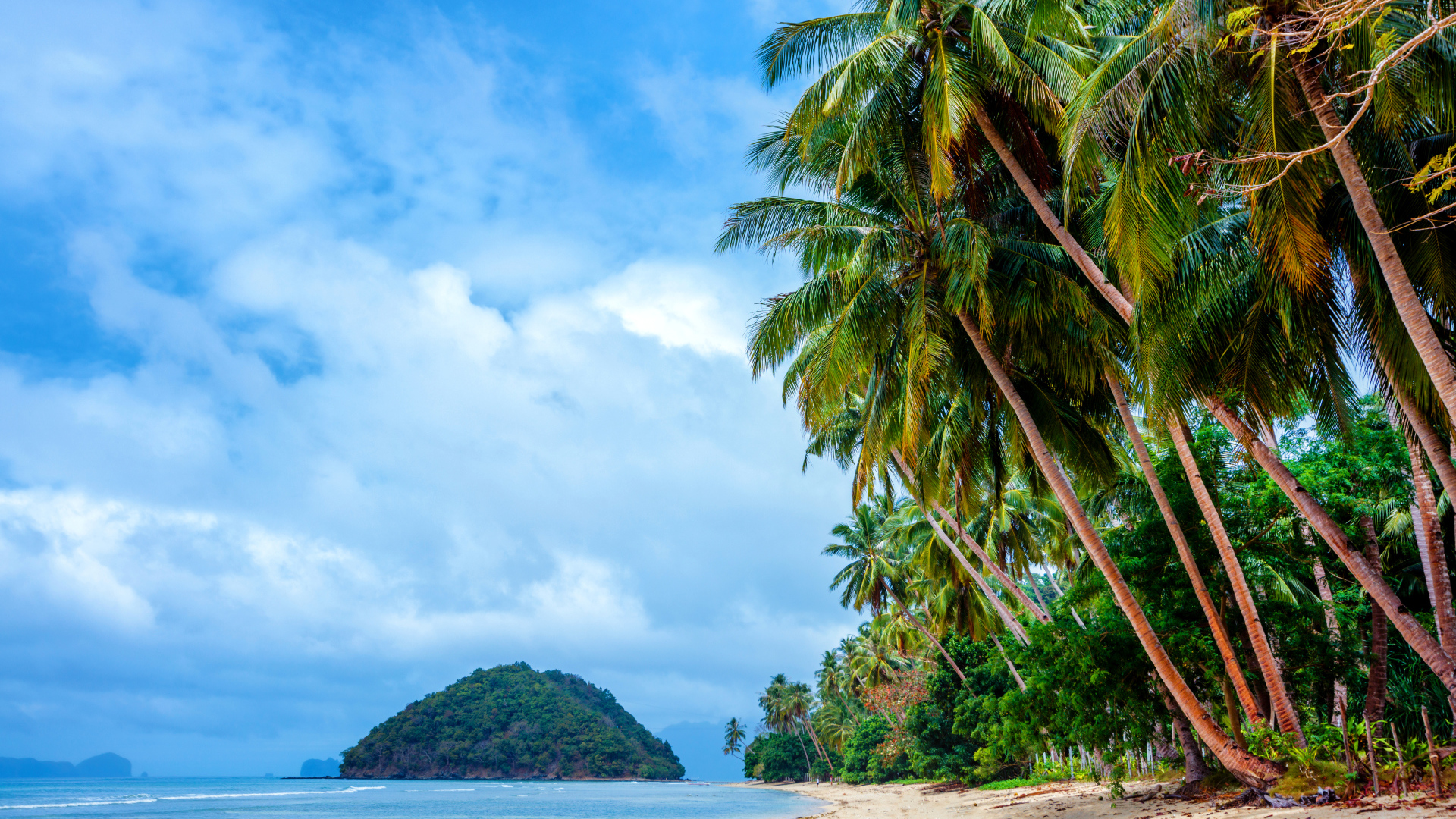 Пальмы на тропическом пляже на побережье Филиппин