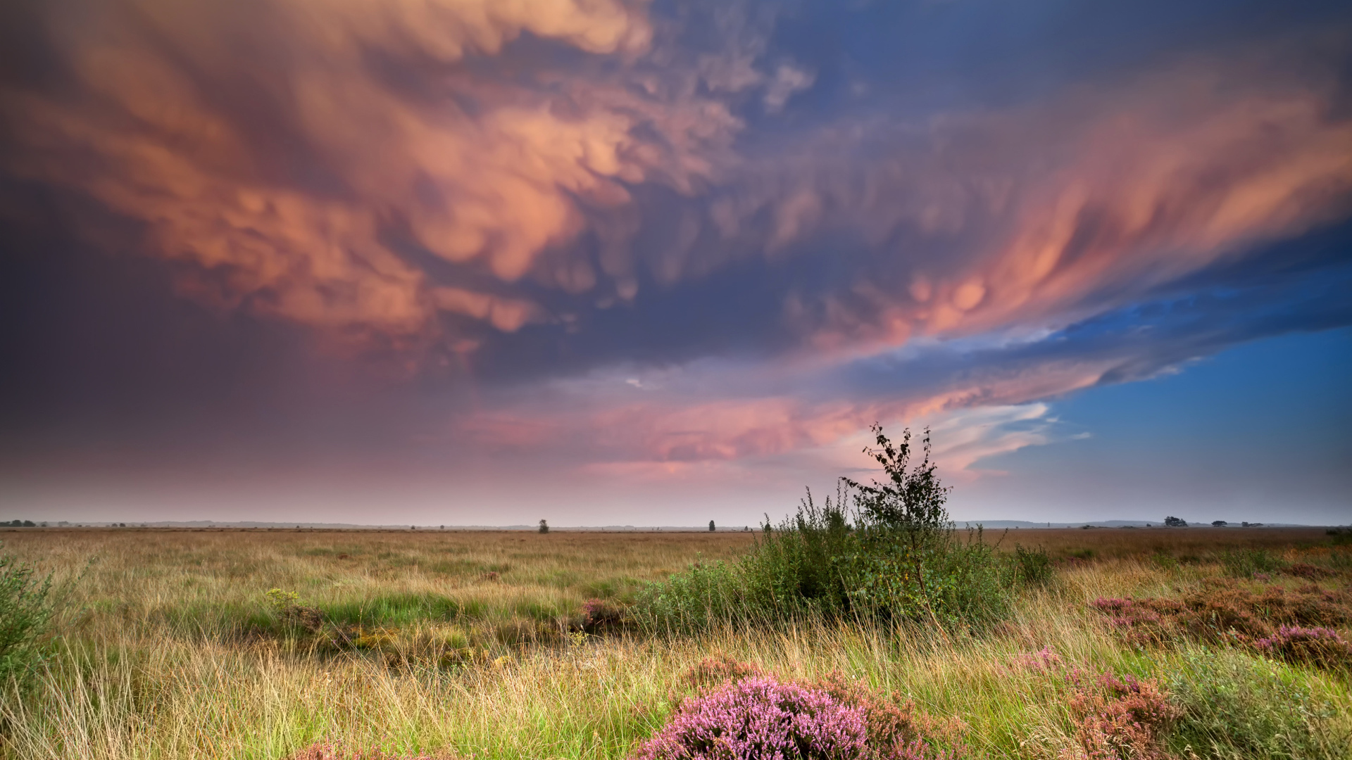 Красивые низкие облака в небе над полем