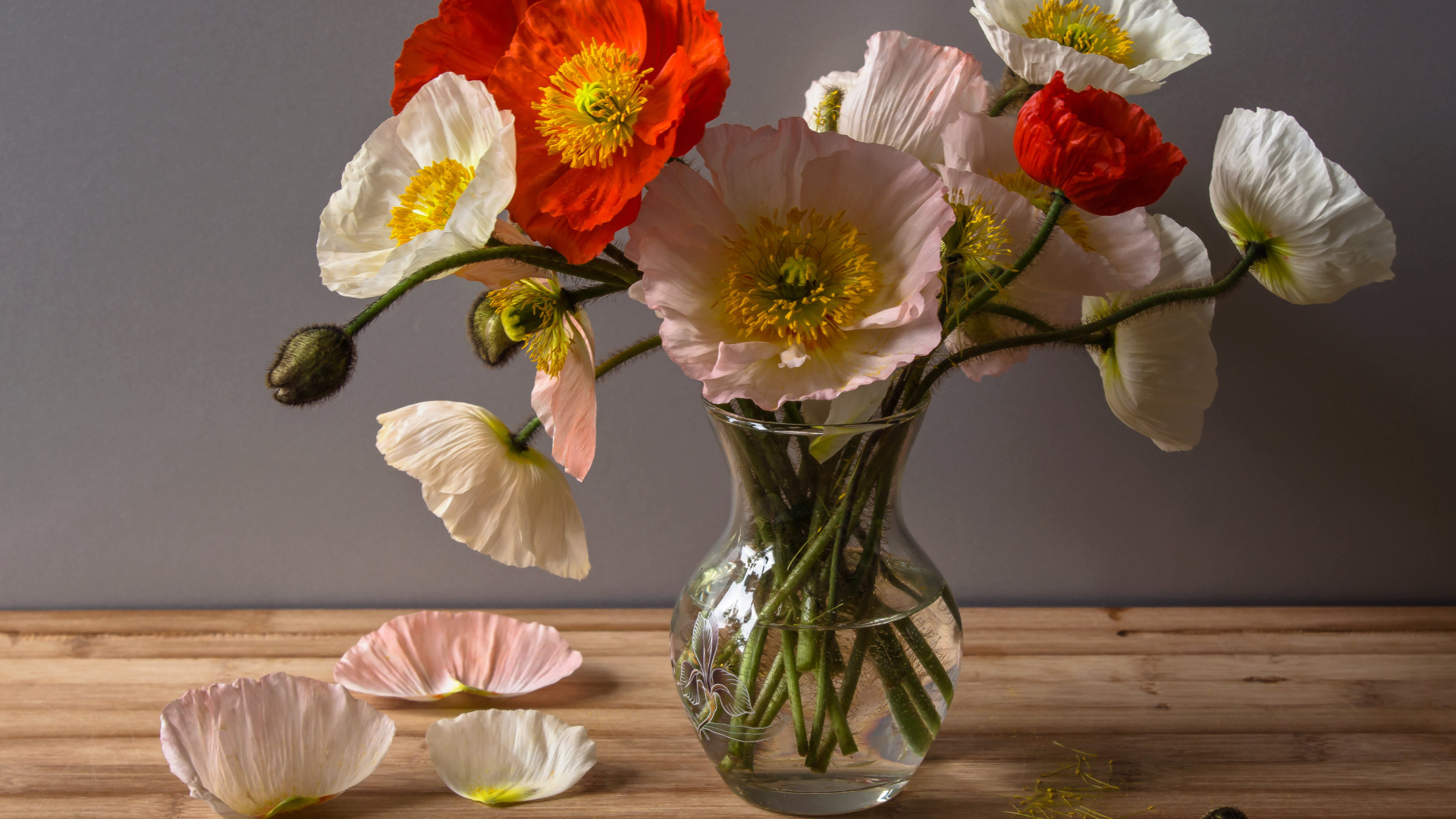 Букет крупных красивых маков в прозрачной вазе