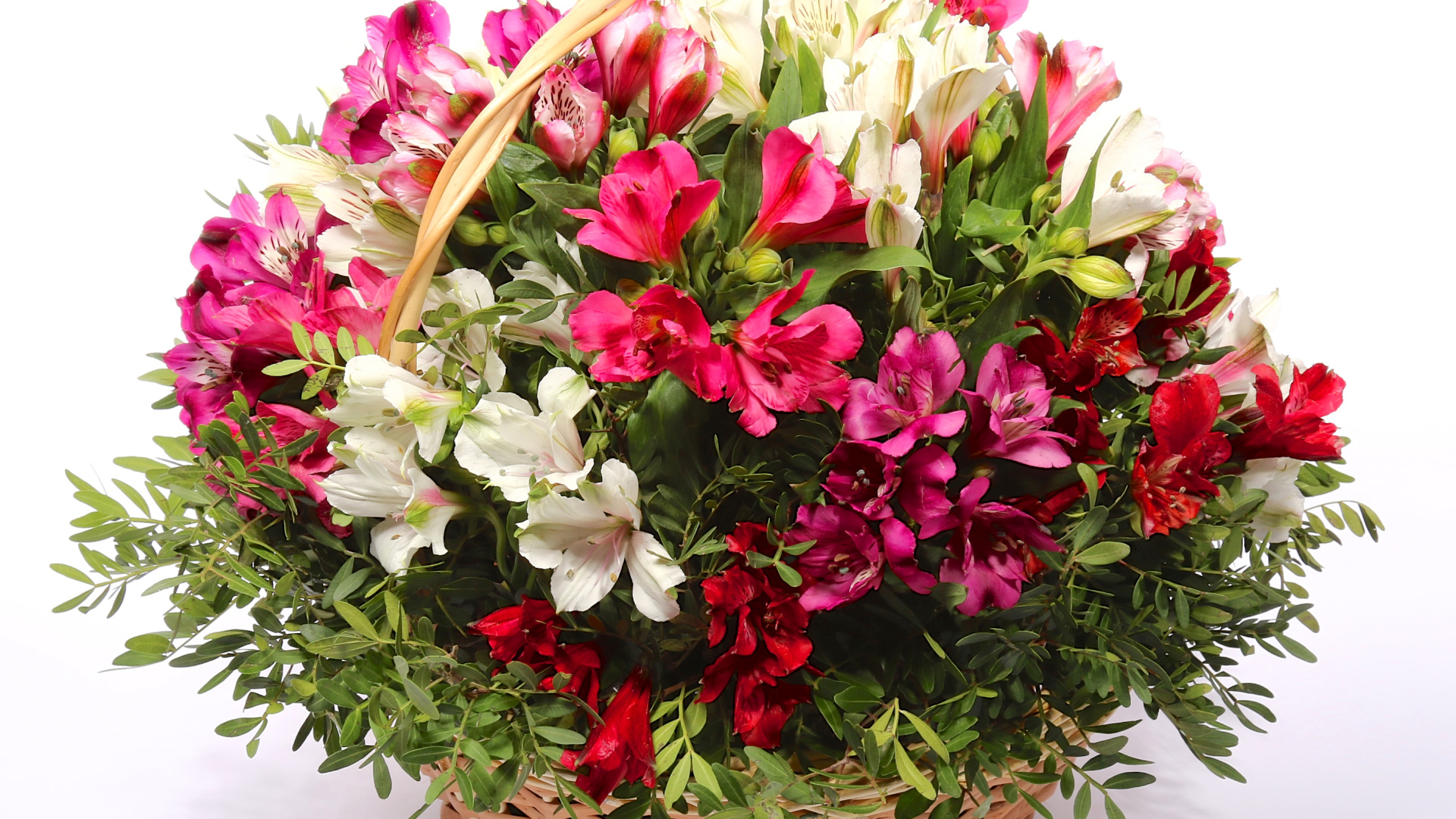 Букет цветов альстрёмерия в корзине на белом фоне