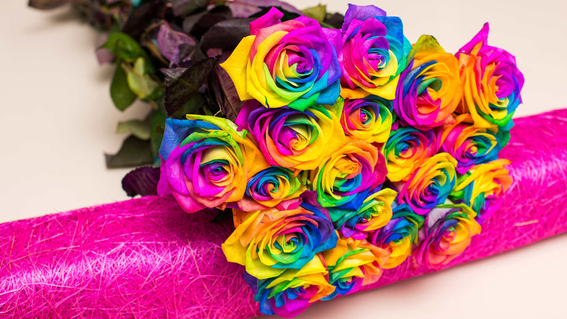 Букет разноцветных ярких роз на сером фоне