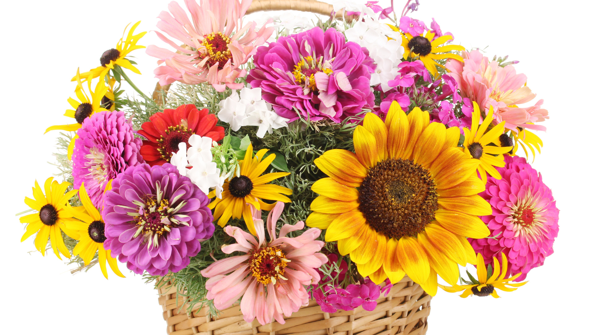 Букет цветов цинии, рудбекии и подсолнуха в корзине на белом фоне