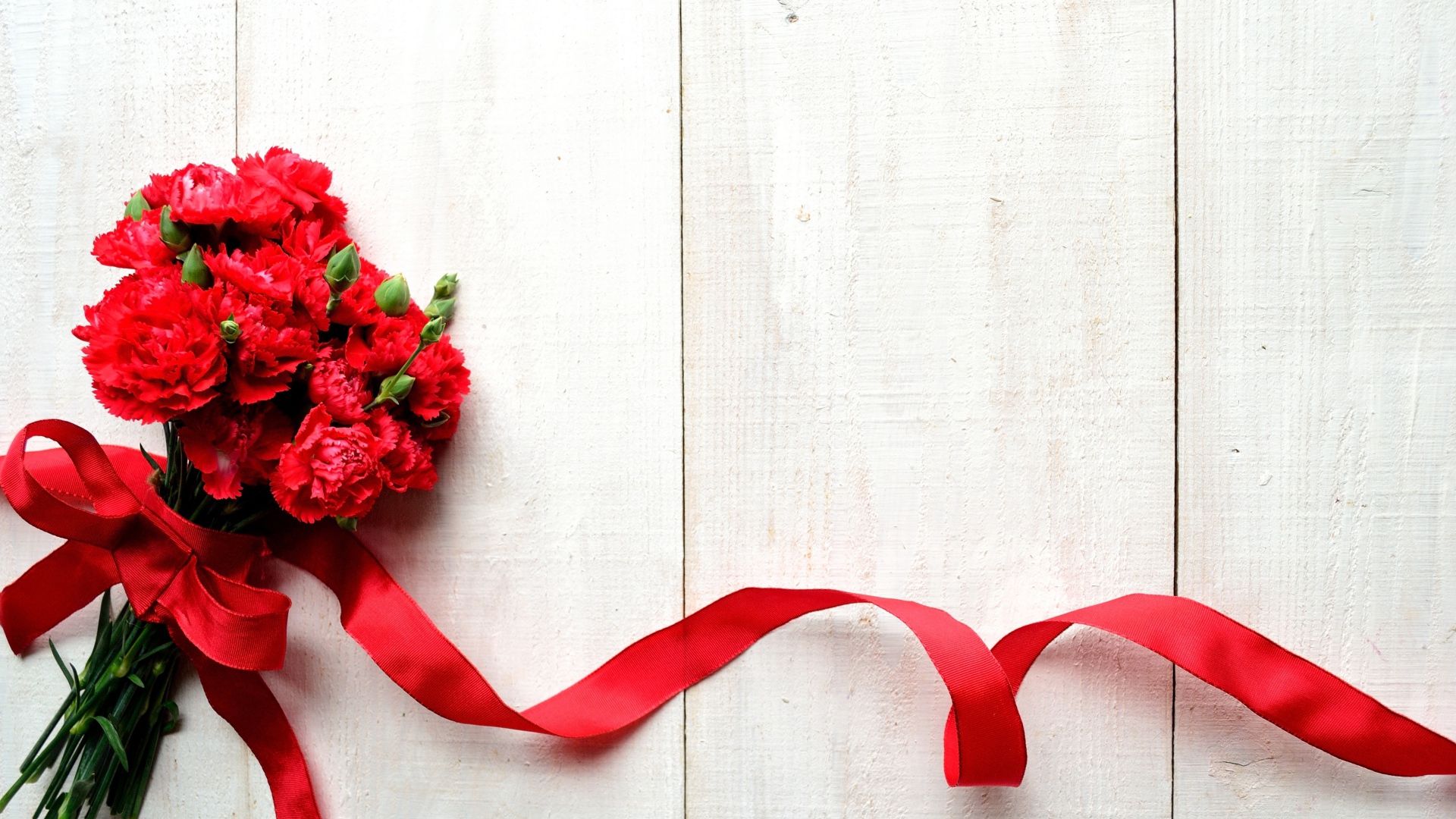 Букет красных гвоздик с красной лентой, фон для открытки