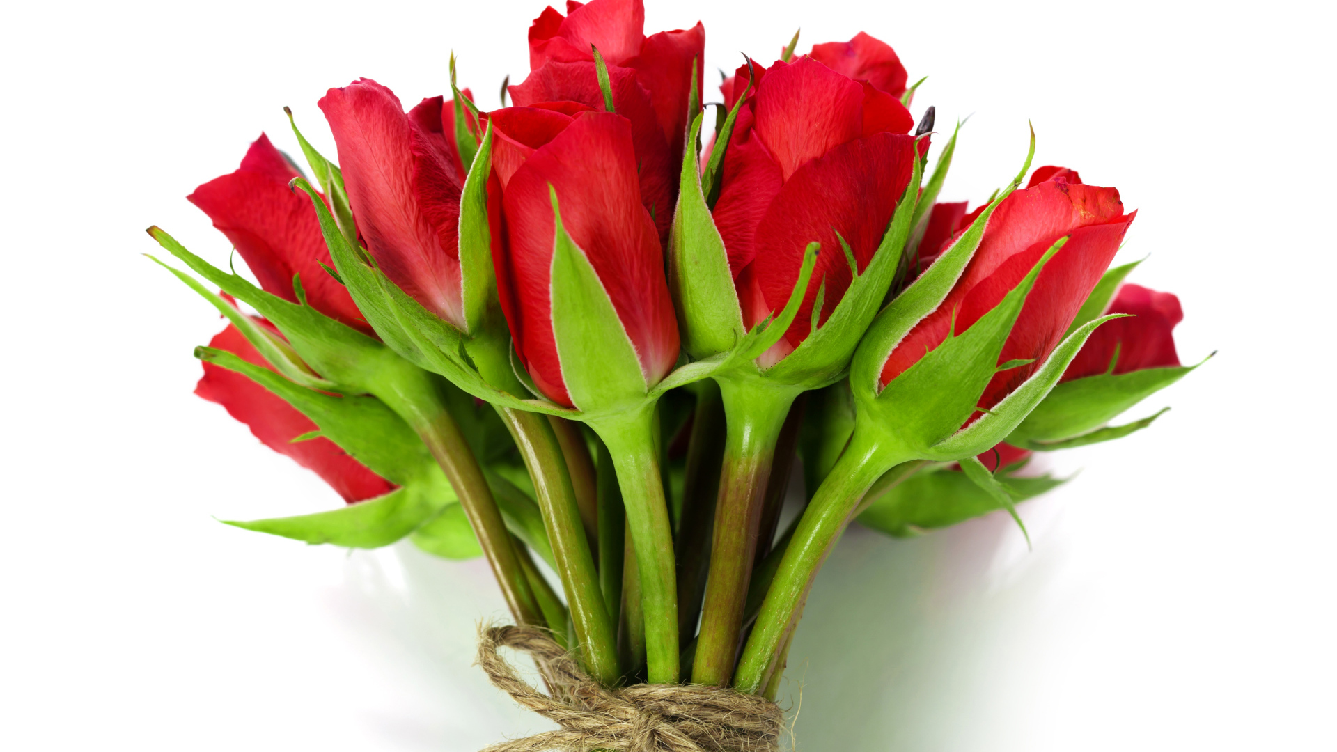 Букет красных роз перевязан веревкой на белом фоне