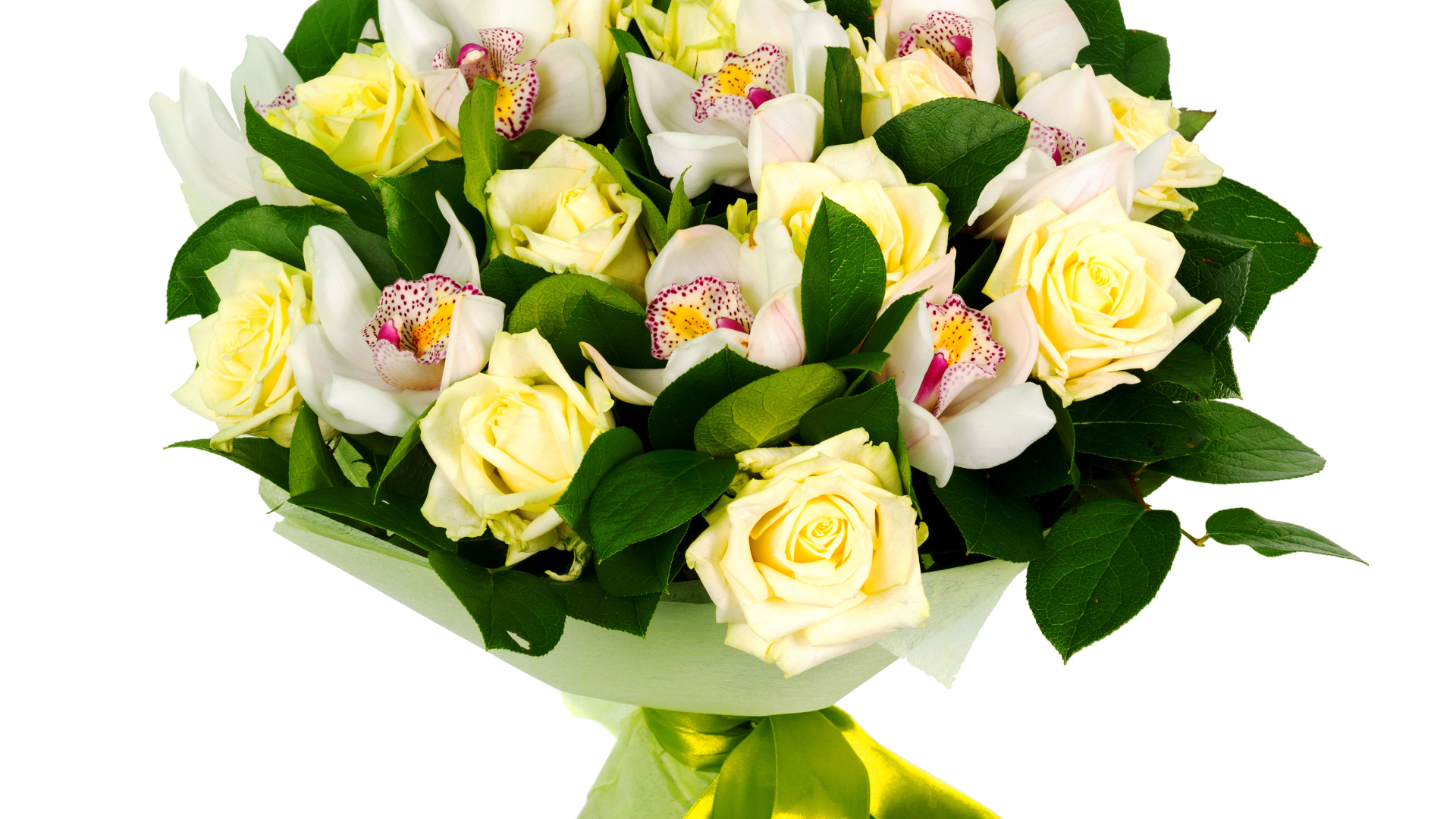 Букет белых роз и белых орхидей на белом фоне