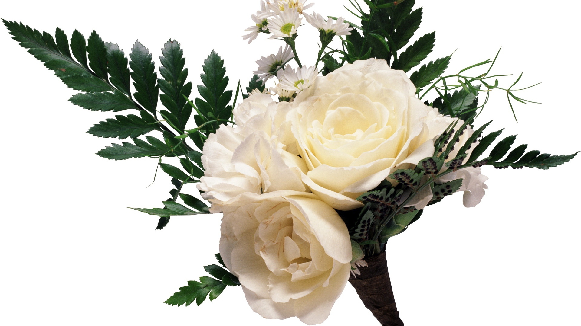 Букет из белых роз с ромашками и большими зелеными листьями на белом фоне