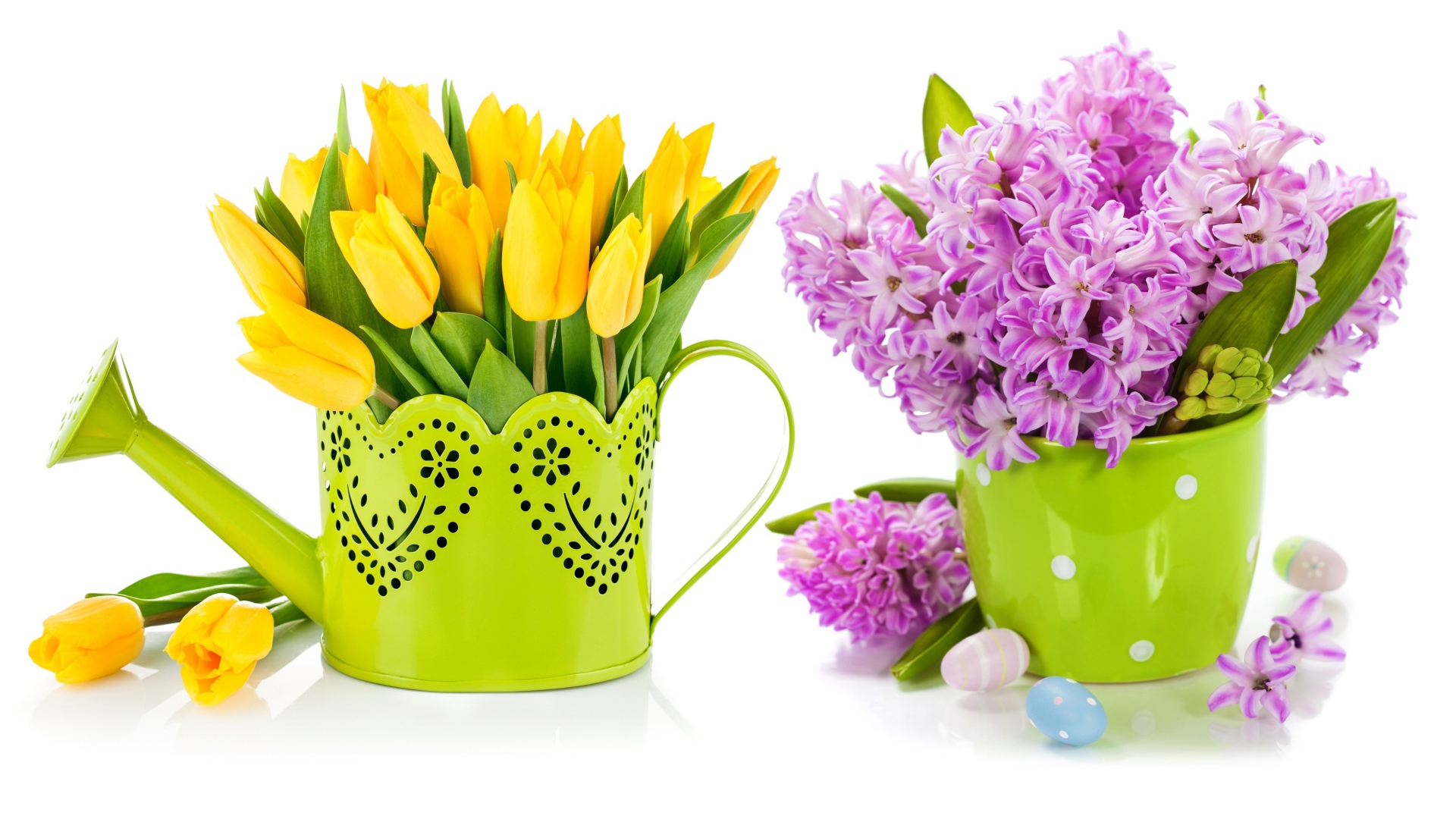 Композиция с желтыми тюльпанами и сиреневыми гиацинтами на белом фоне