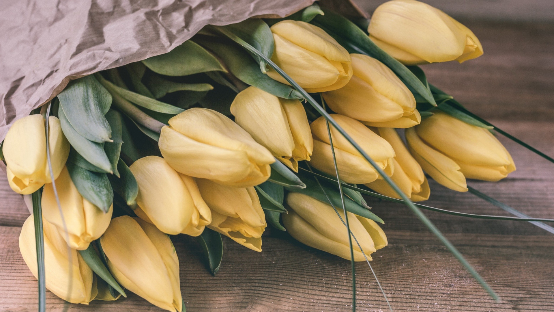 Большой букет желтых тюльпанов в бумаге 
