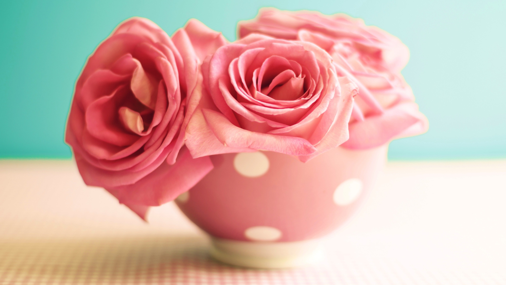 Три розовые розы в вазе на голубом фоне