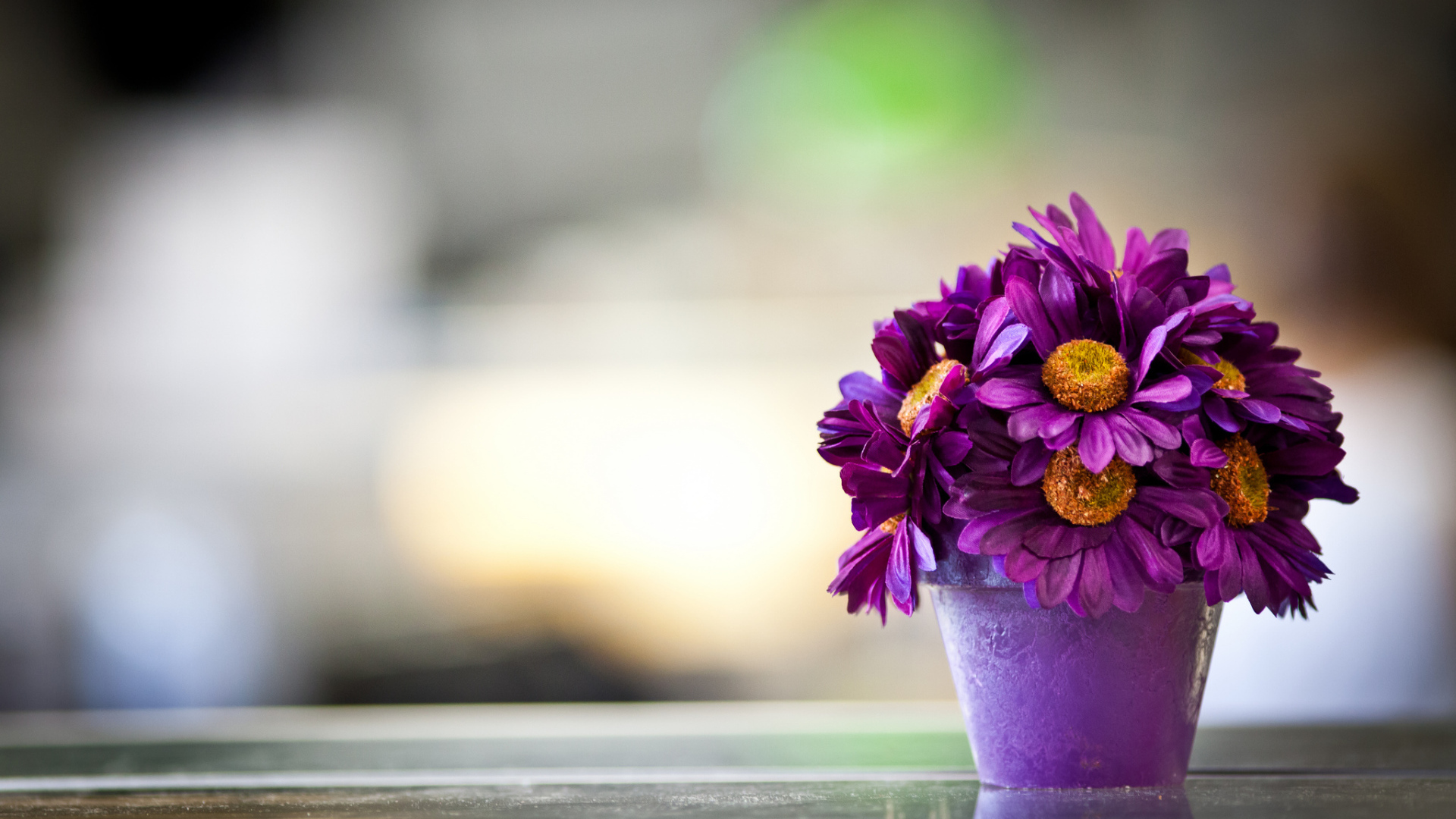 Фиолетовые цветы в горшке