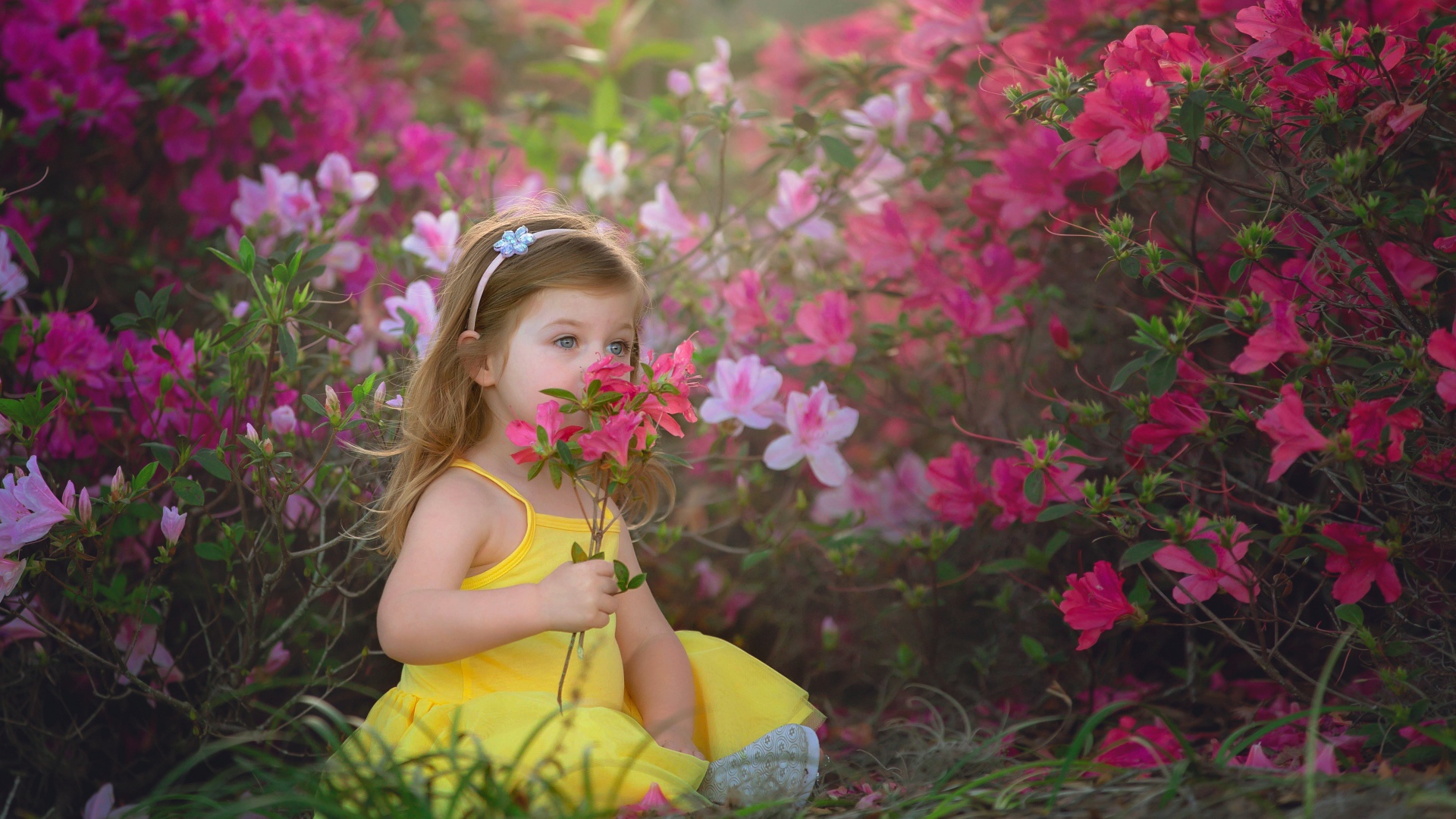 Маленькая девочка в желтом платье сидит рядом с розовыми цветами