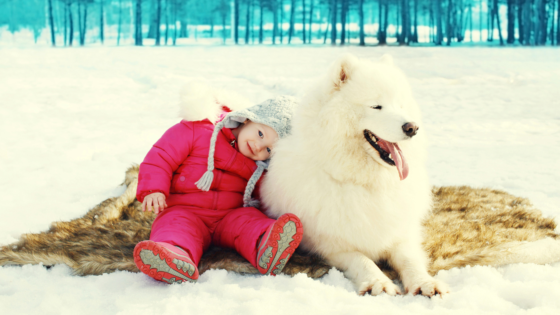Маленькая девочка сидит на снегу с большой Самоедской собакой
