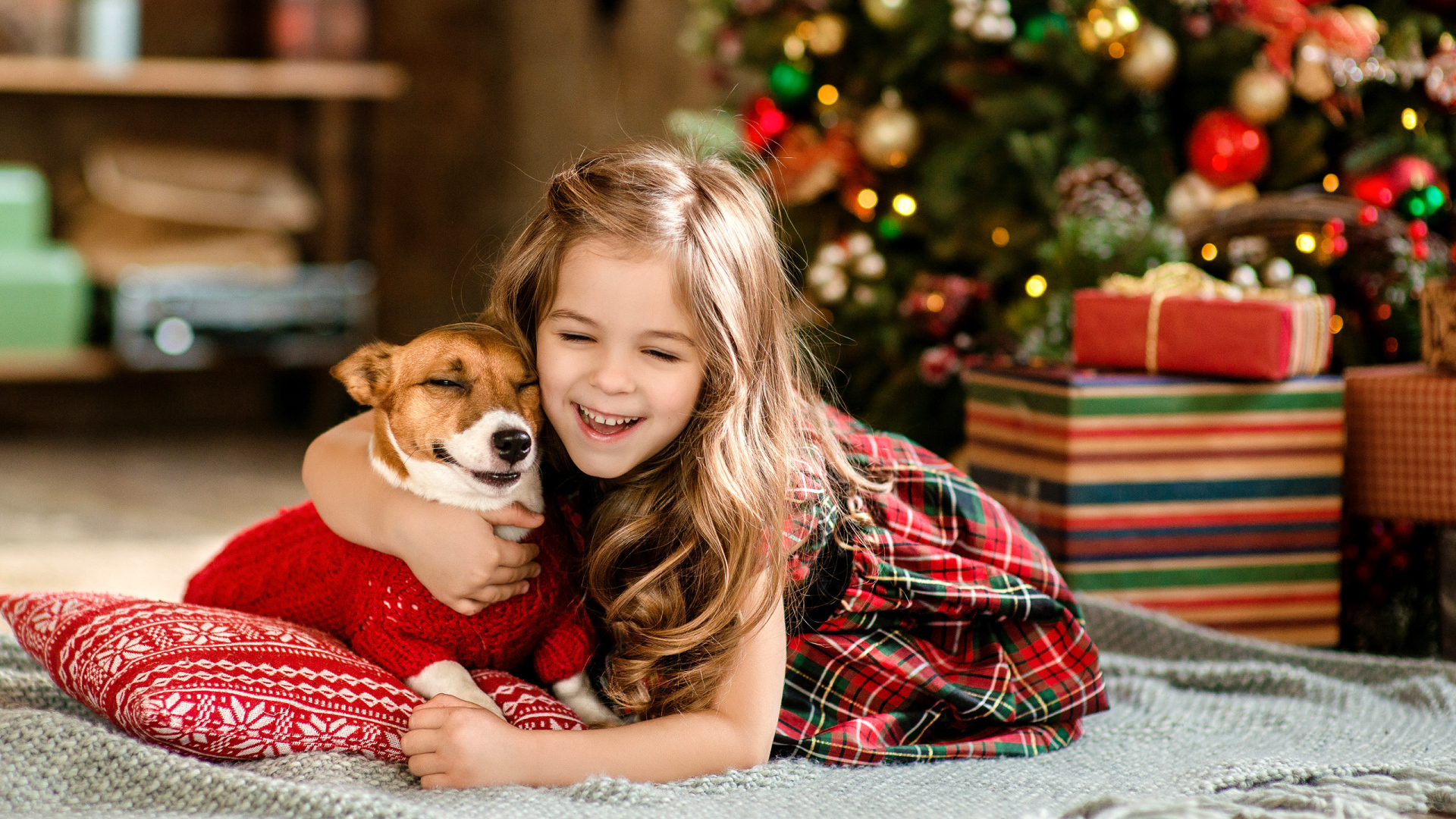 Маленькая девочка с собакой радуются новому году