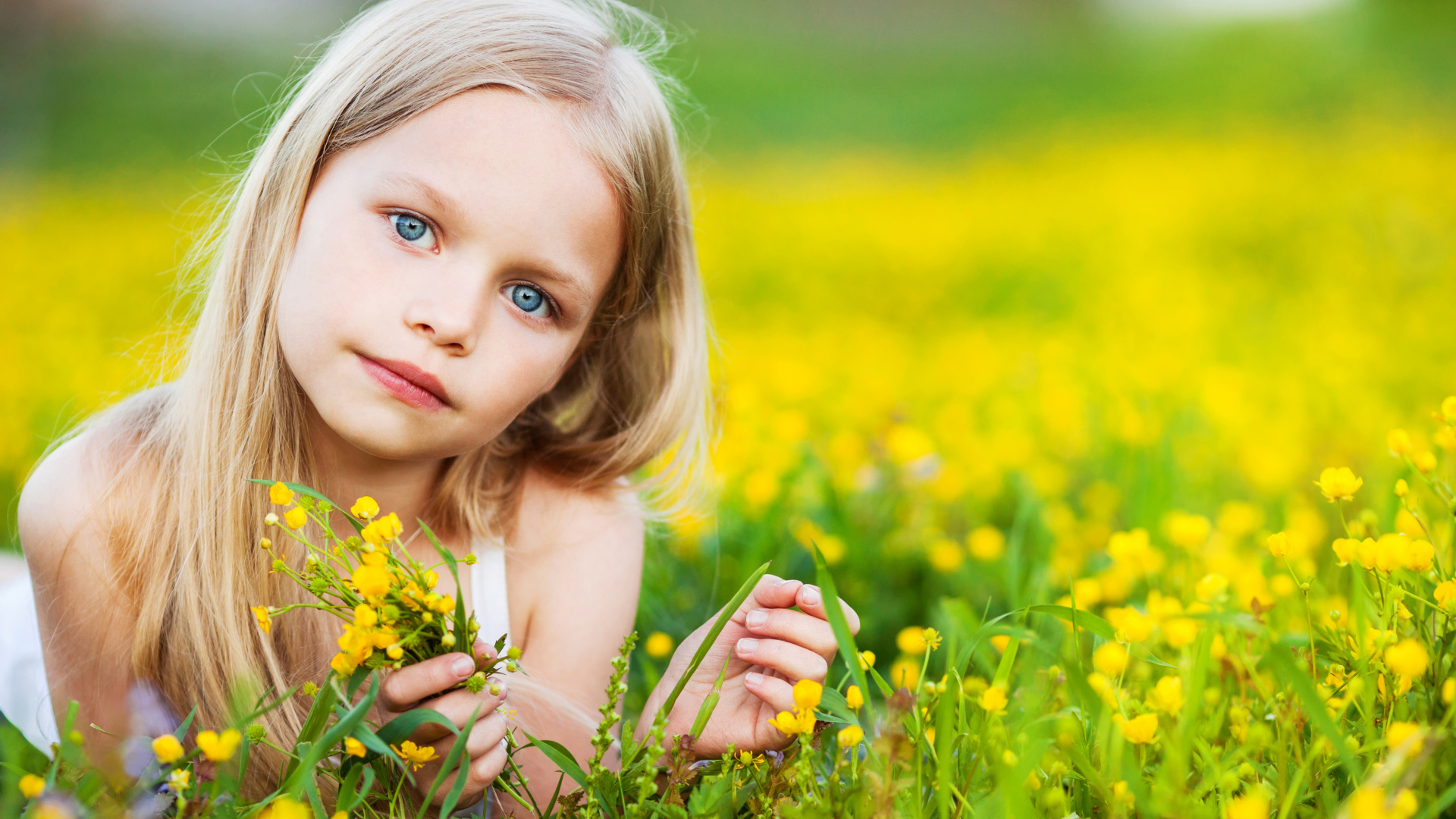 Красивая голубоглазая девочка лежит на желтых полевых цветах