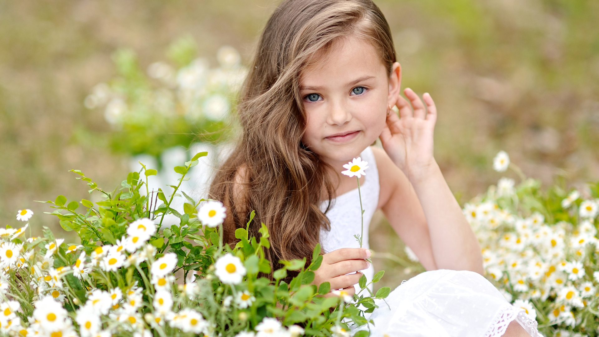 Красивая голубоглазая девочка с белой ромашкой в руке