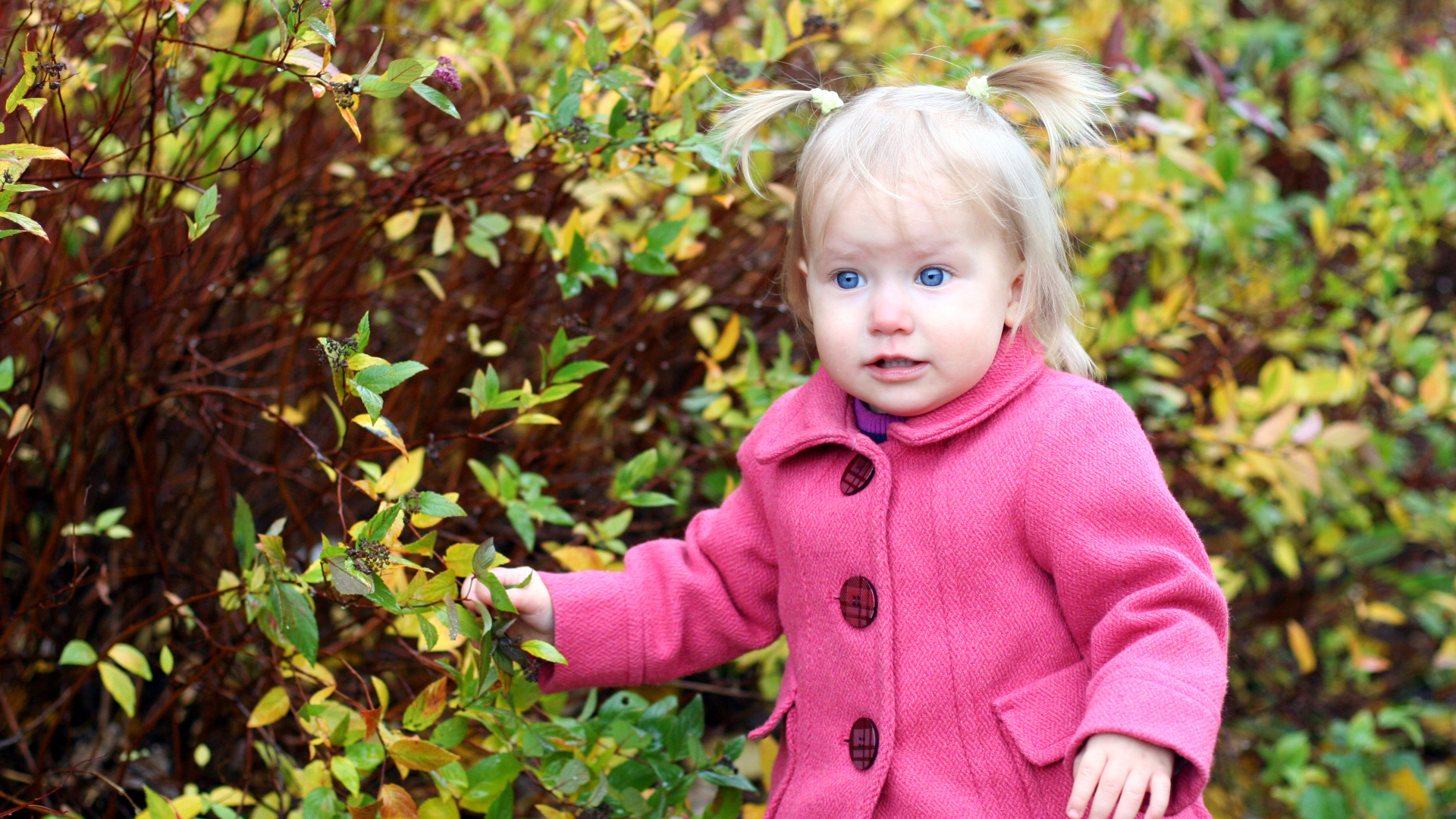 Маленькая голубоглазая девочка в розовом пальто