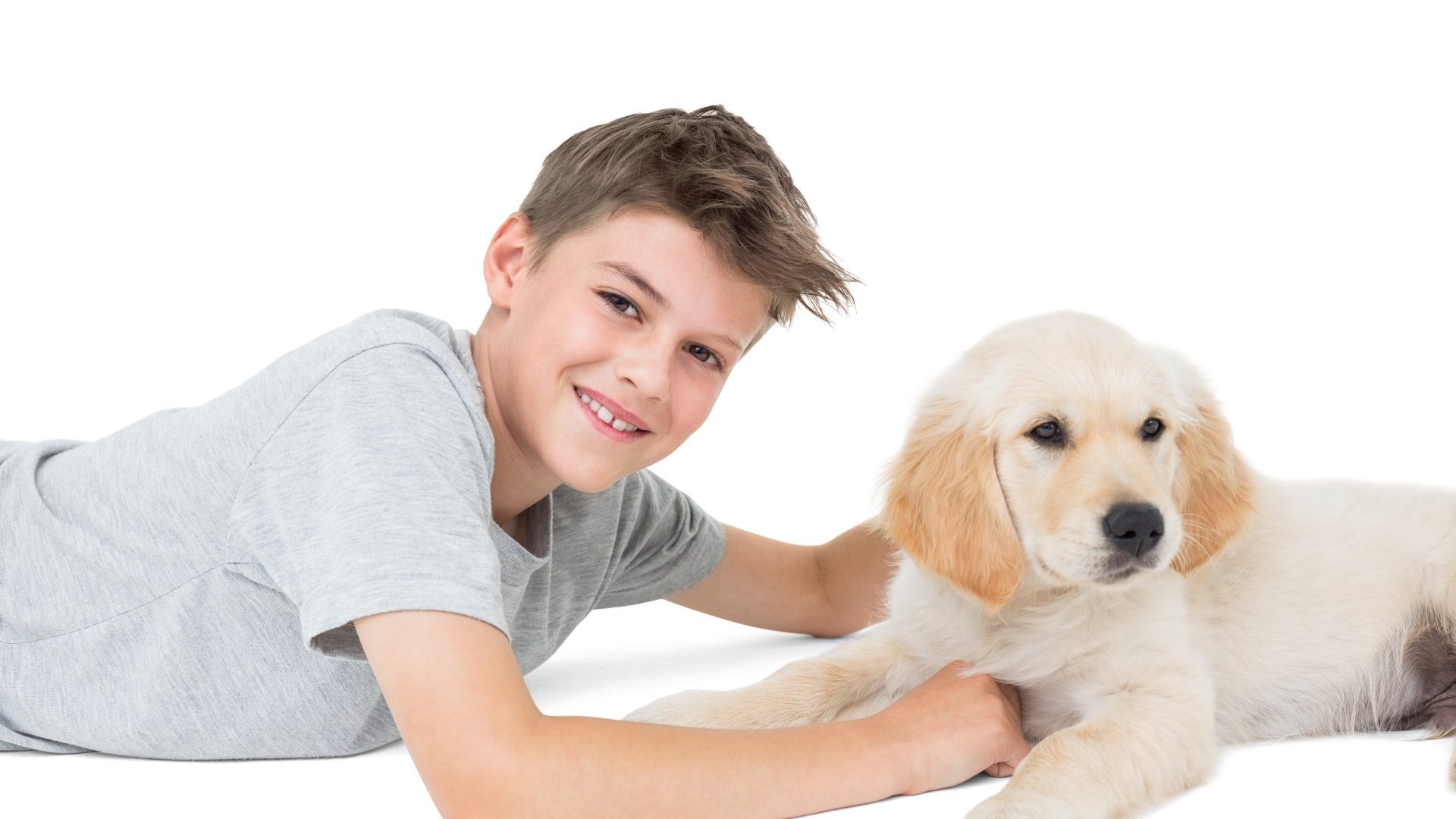 Маленький мальчик с щенком ретривера на белом фоне