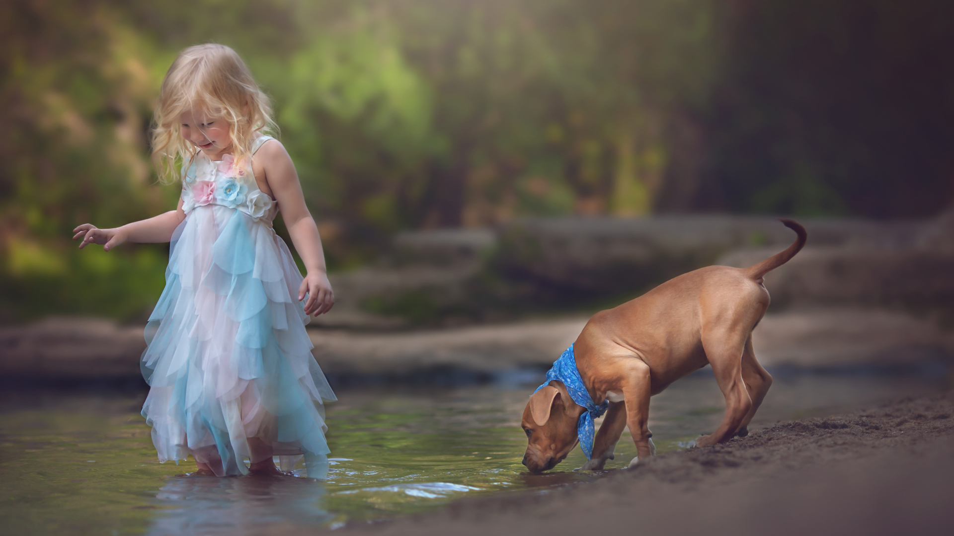 Маленькая девочка в красивом платье со щенком у ручья