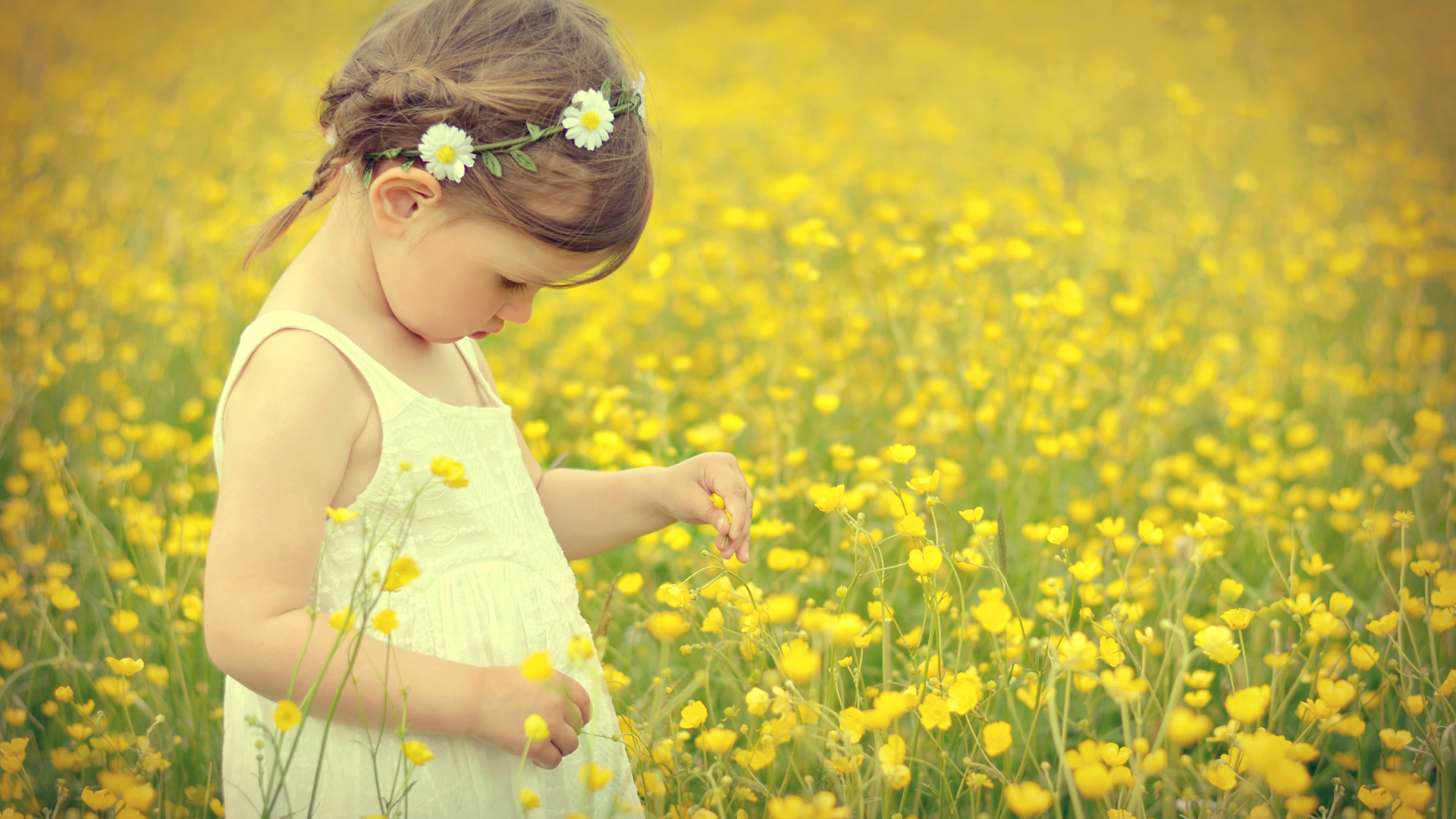 Маленькая девочка в белом платье на лугу с желтыми цветами