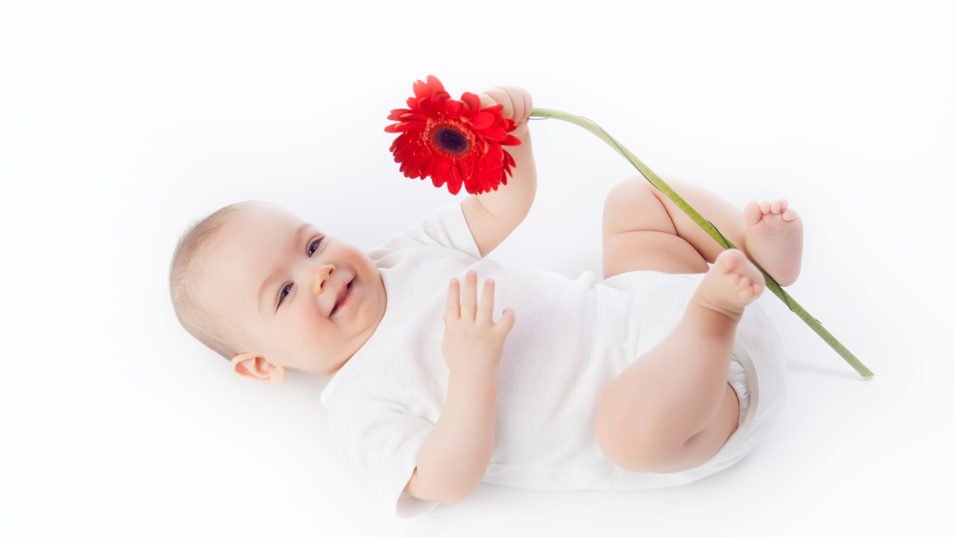 Улыбающийся младенец с цветком красной герберы на белом фоне