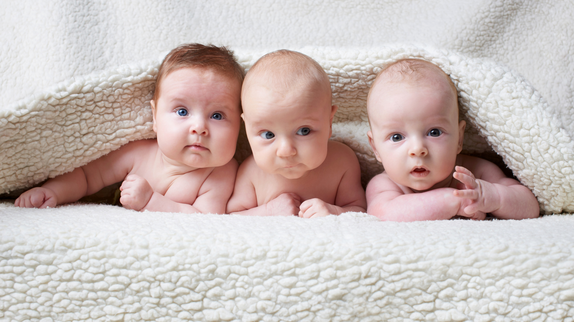 Три младенца лежат под одеялом